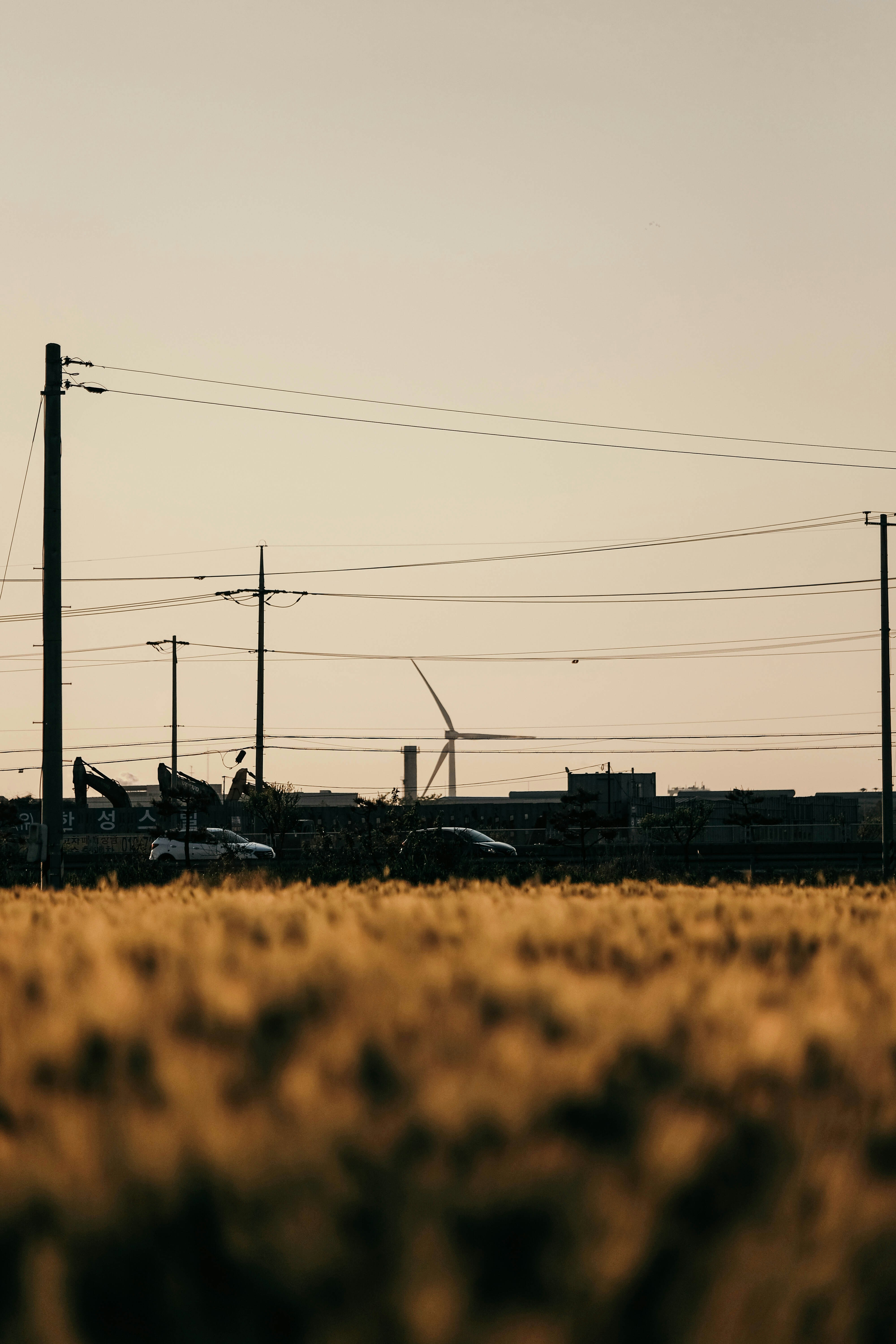 Photo by insungpandora