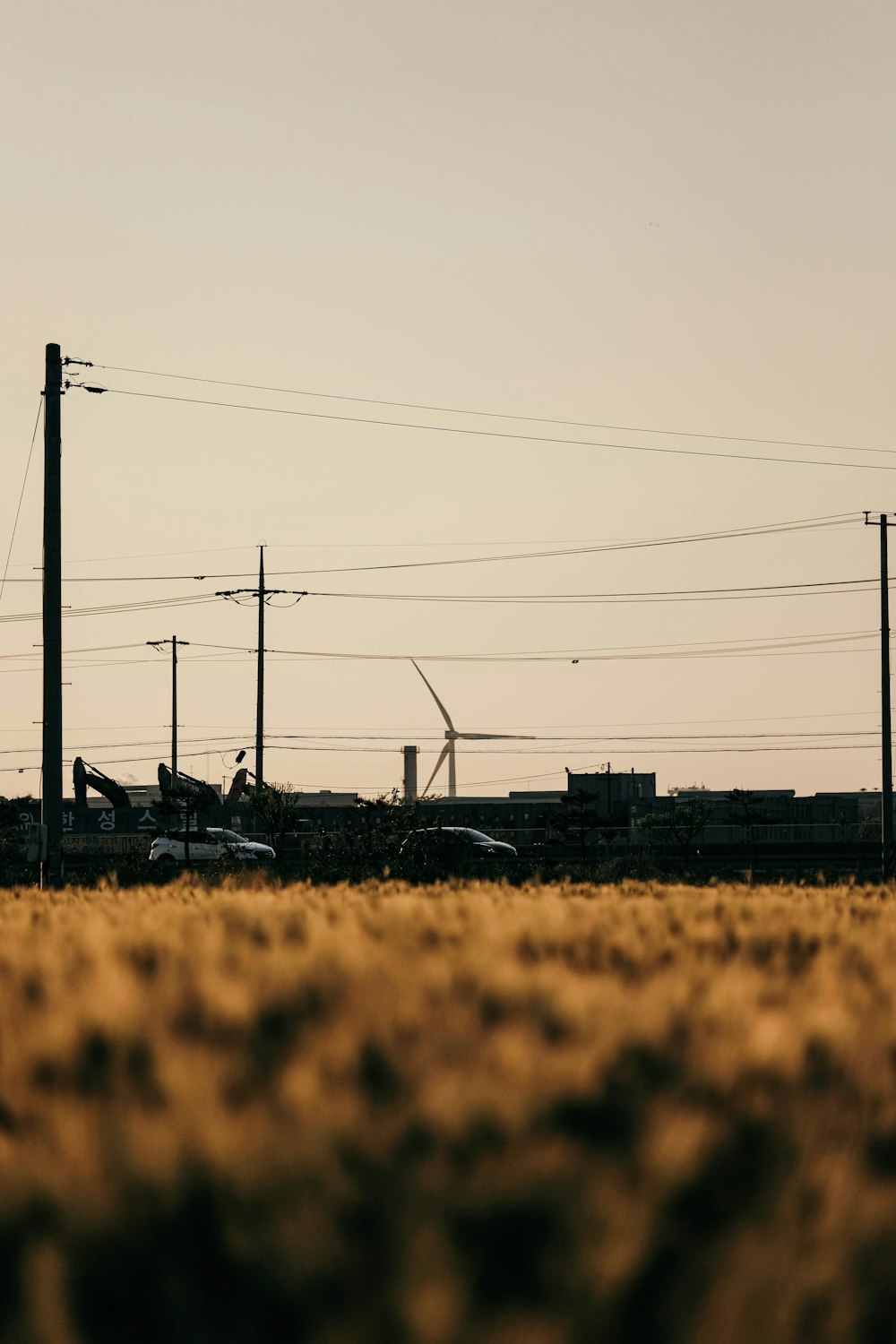 a field of grass with power lines in the background