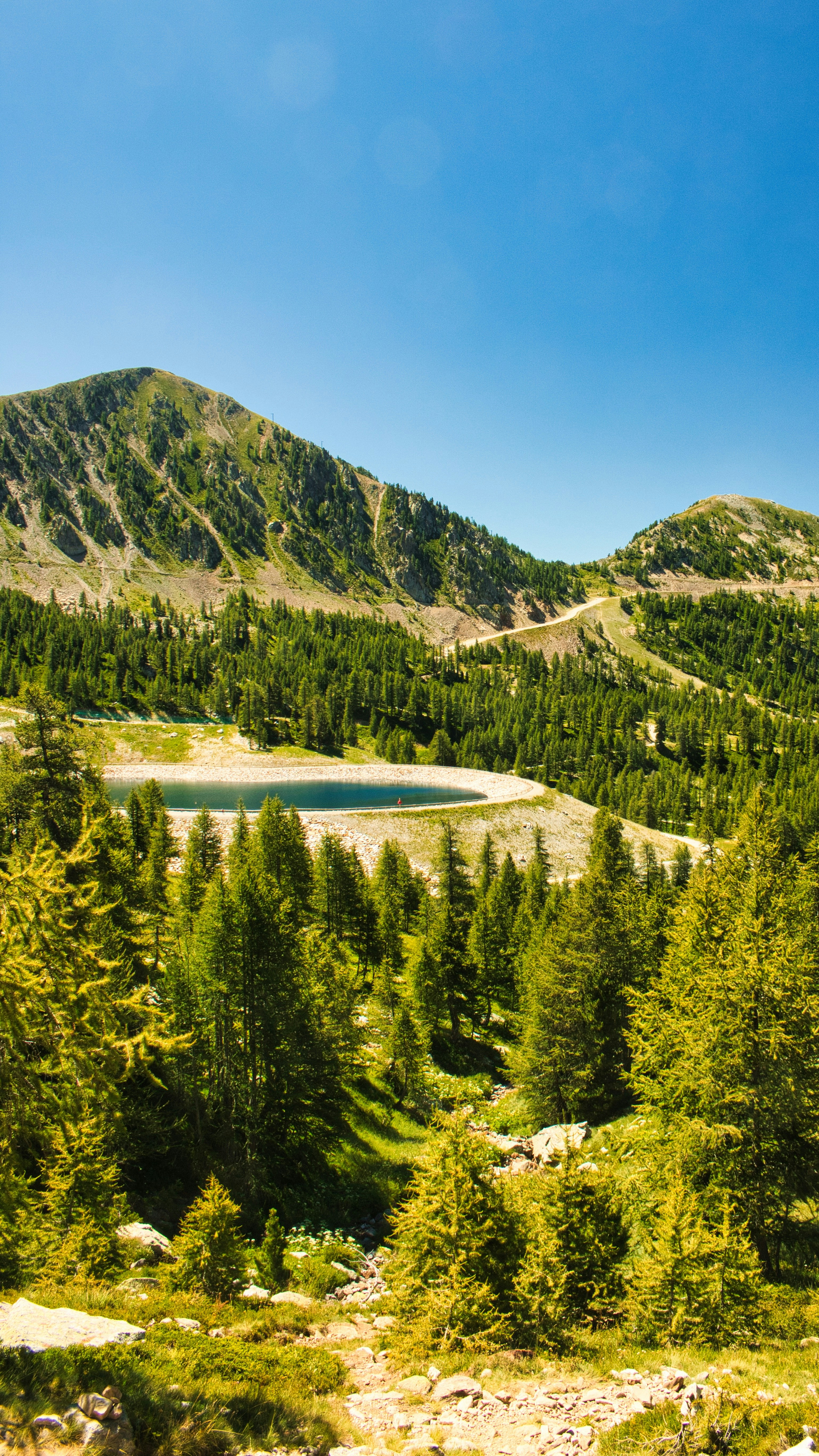 Lac et forêt de conifères au pied des sommets du Mercantour, près d’Isola 2000 dans la haute Tinée