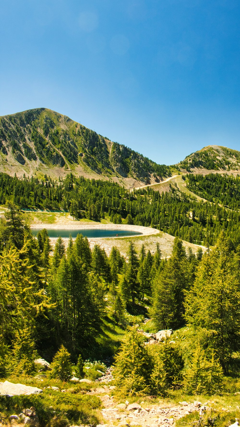 a mountain with a lake surrounded by trees