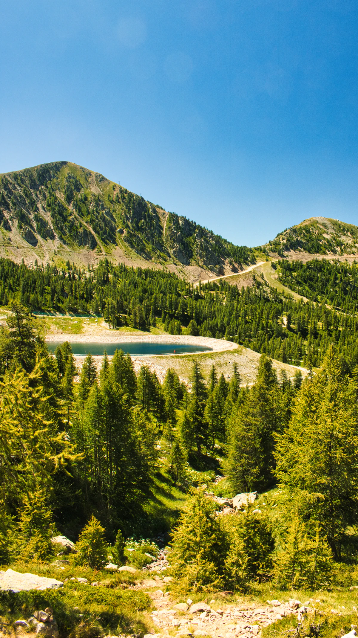 A small lake in conifer forest below a grassy summit near Isola 2000