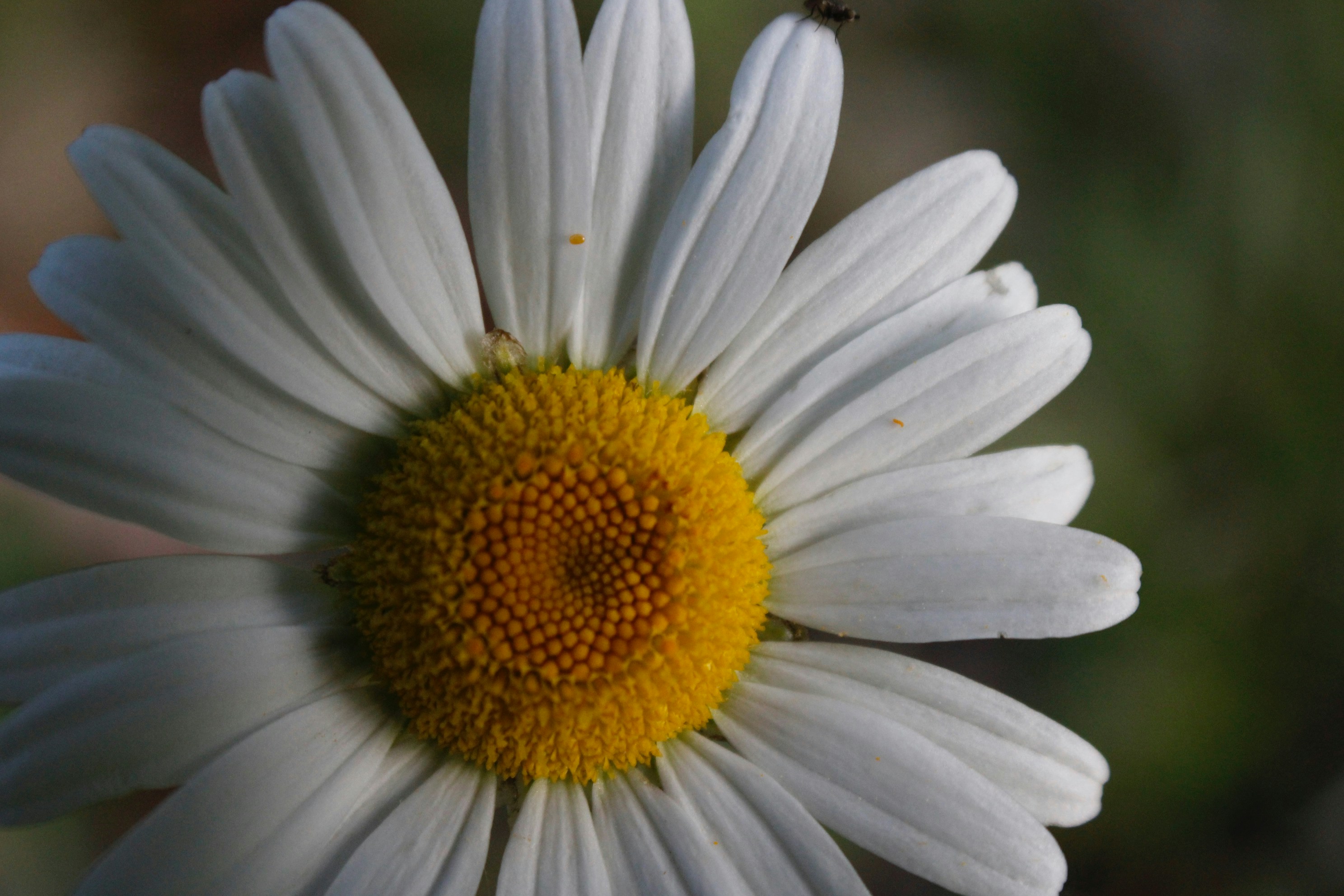 Photo by lisa_duqlaw