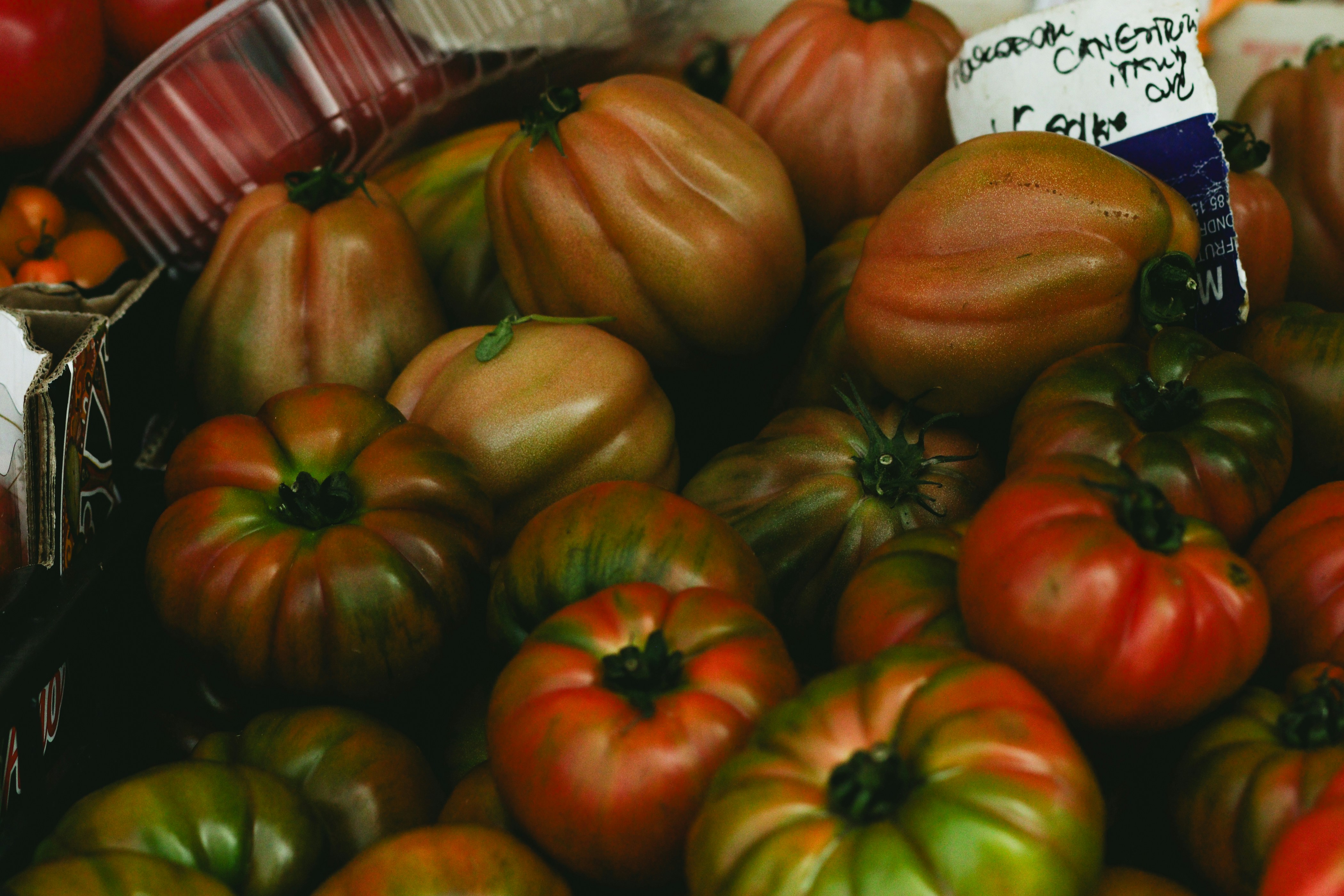 Reife Fleischtomaten