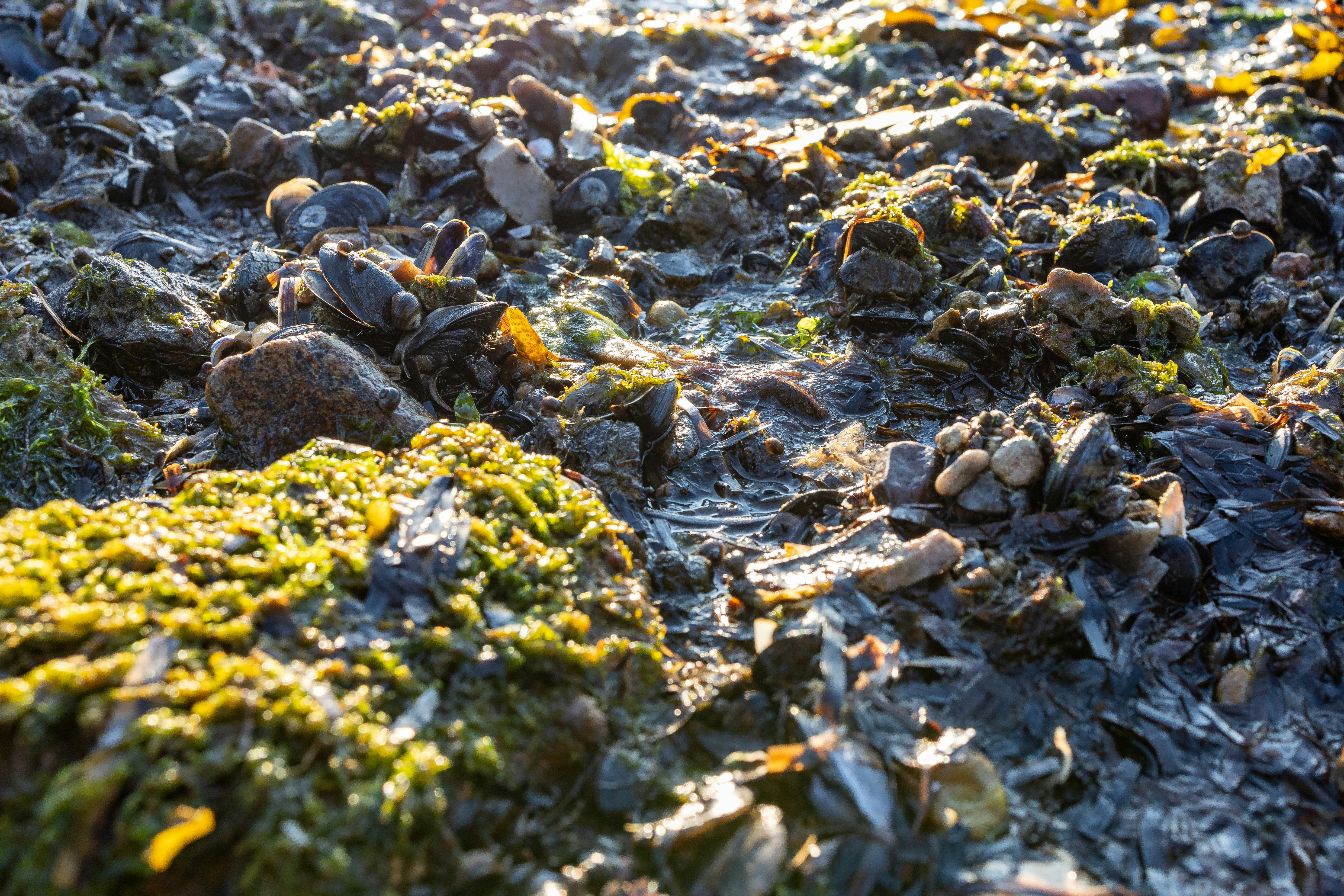 Photo by marvinradke