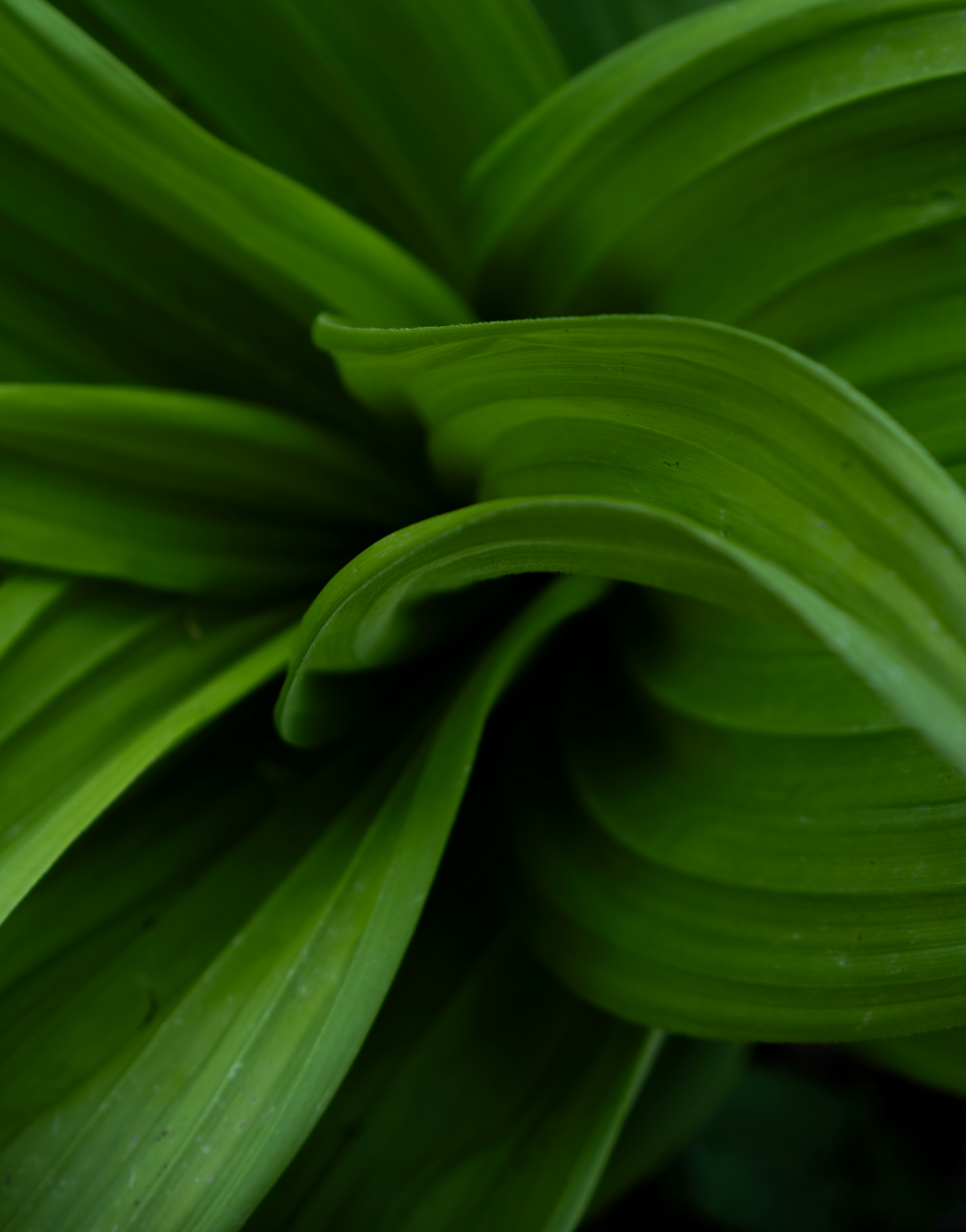 Photo by redredorange