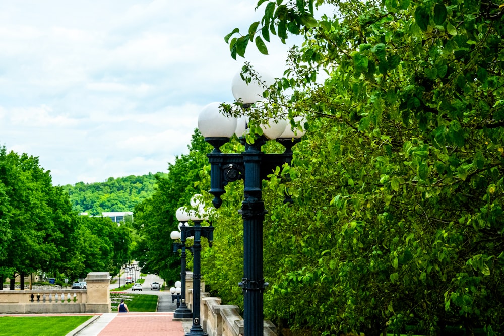 a street light sitting next to a lush green park