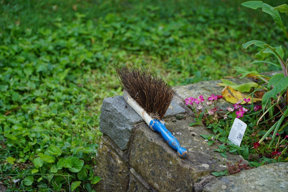 a brush sitting on top of a rock in the grass