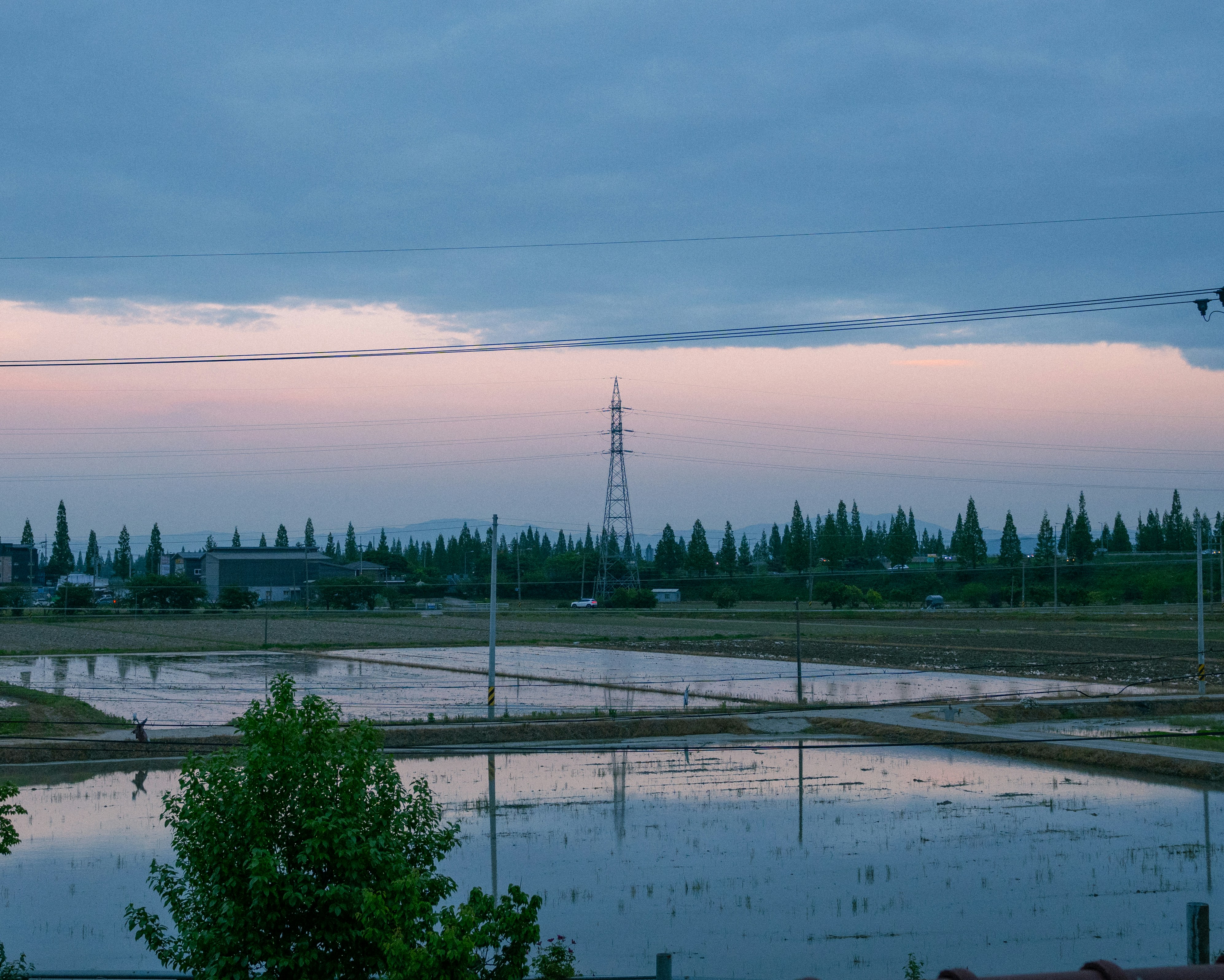 Qikiqtarjuaq, Canada - None
