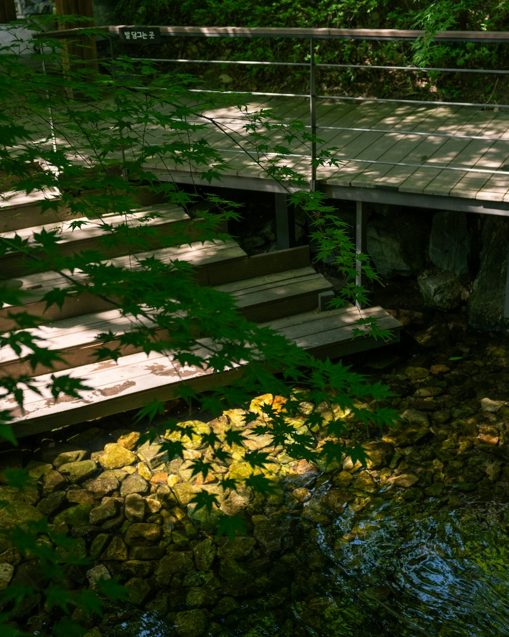 a wooden bridge over a small stream in a forest