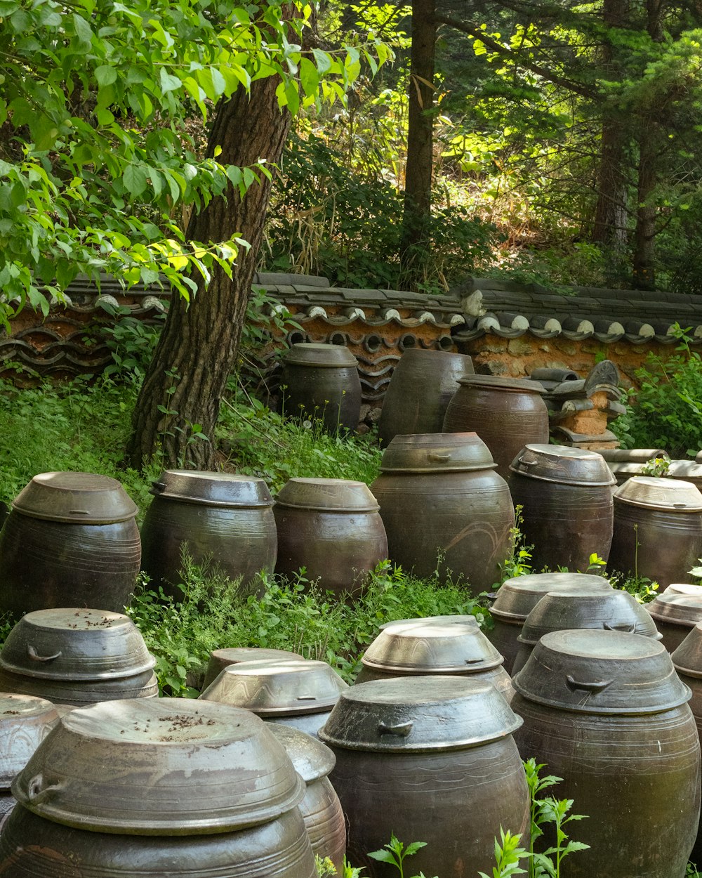 a lot of pots that are sitting in the grass