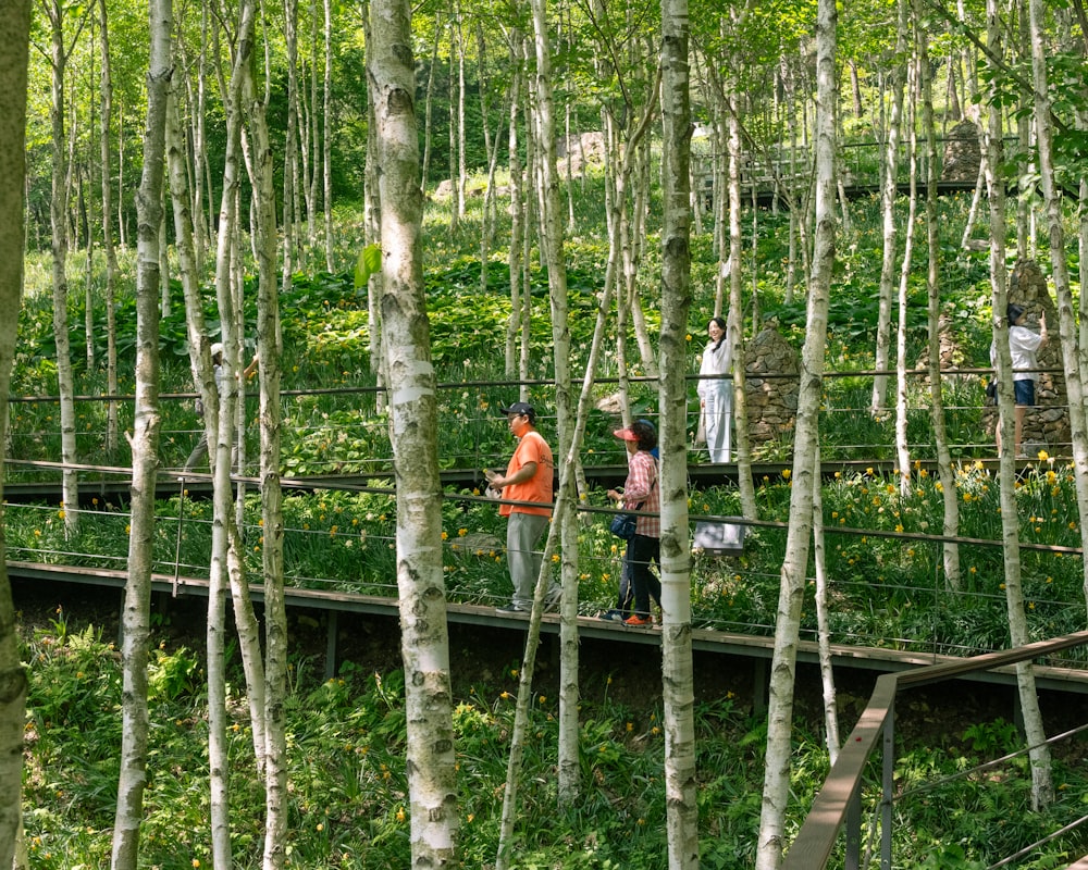 a group of people walking across a bridge in a forest