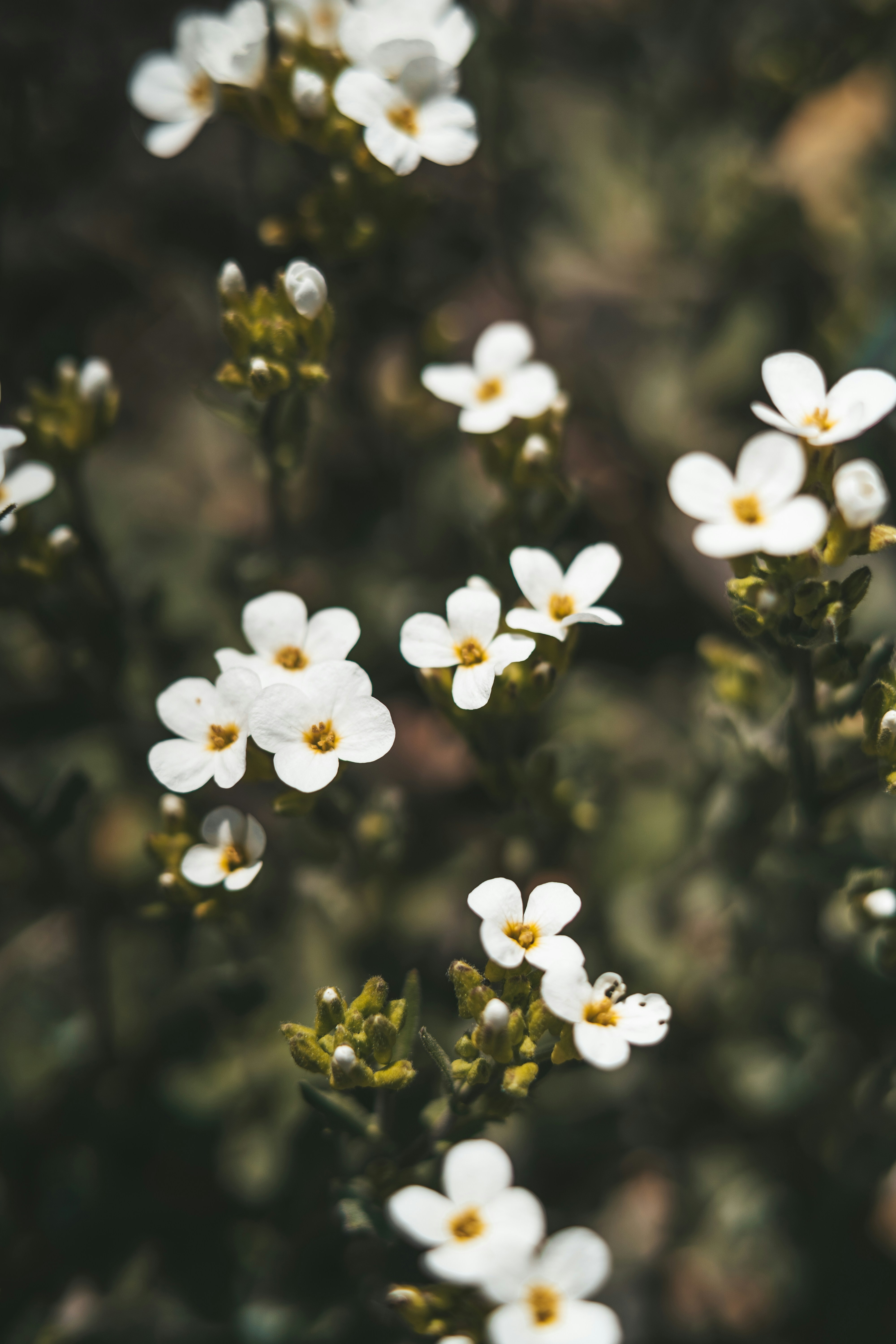 Photo by anamnesis33