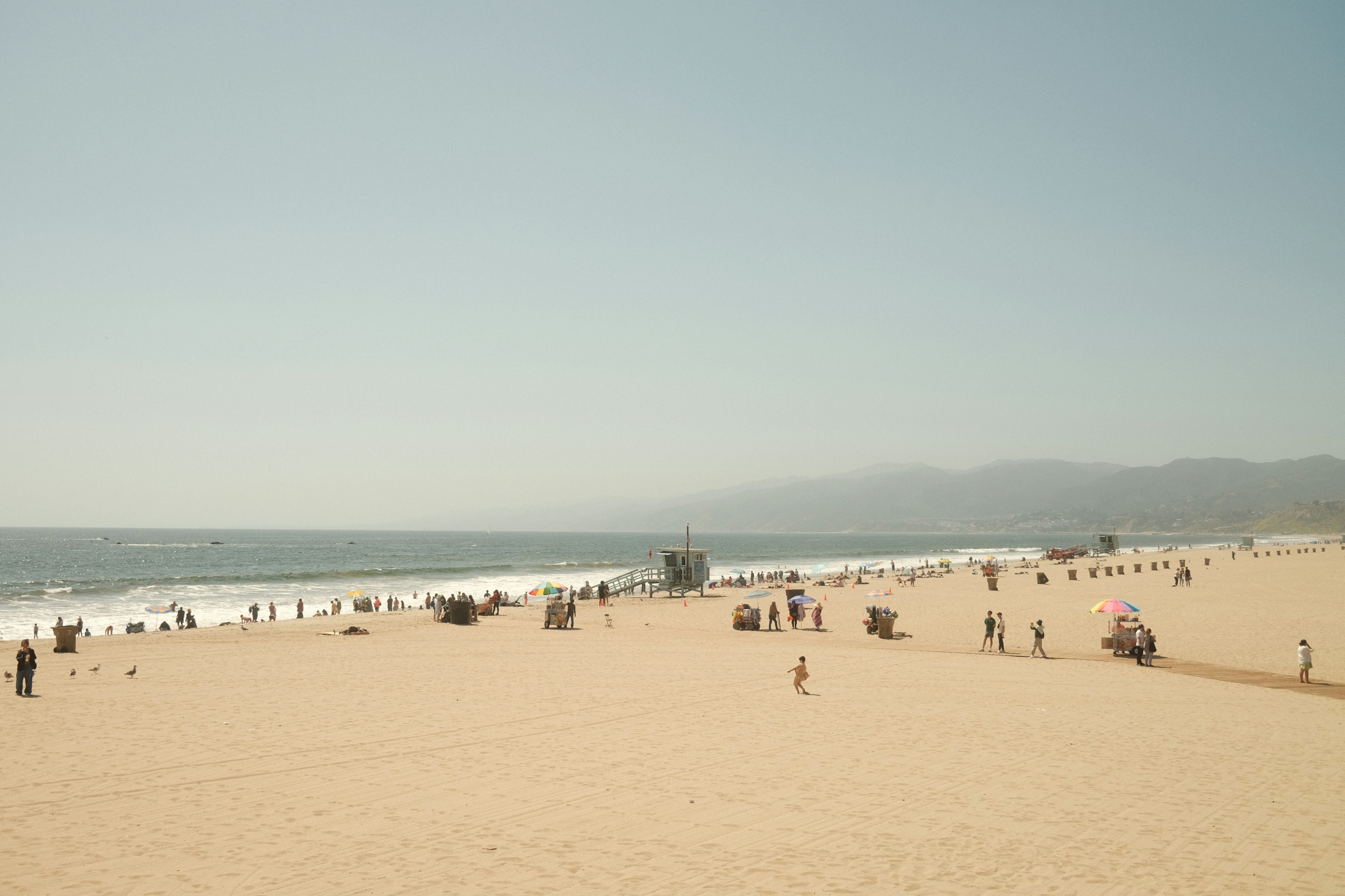 Why Venice Real Estate Is So Popular — and What’s Happening in the Market