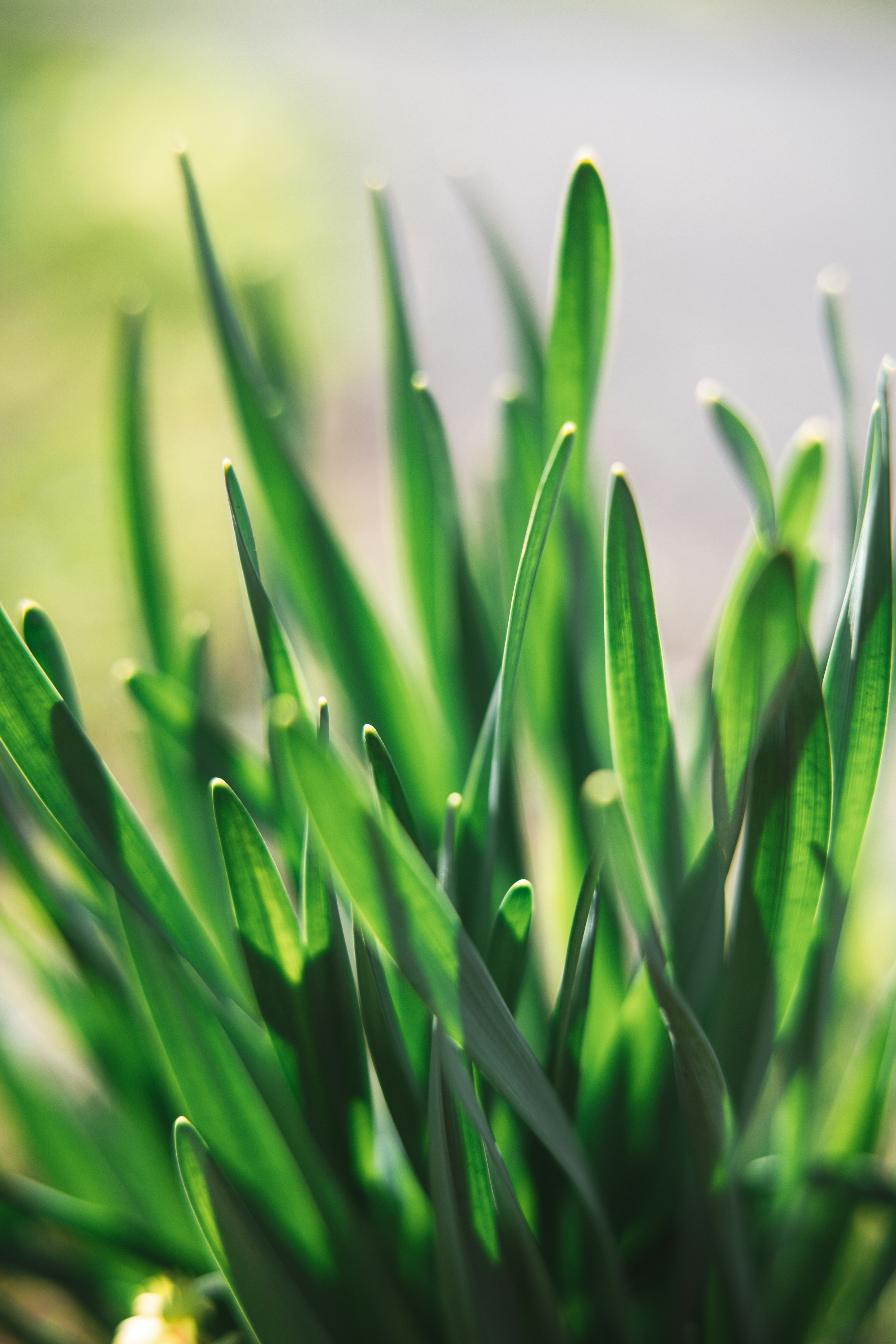 Photo by anamnesis33