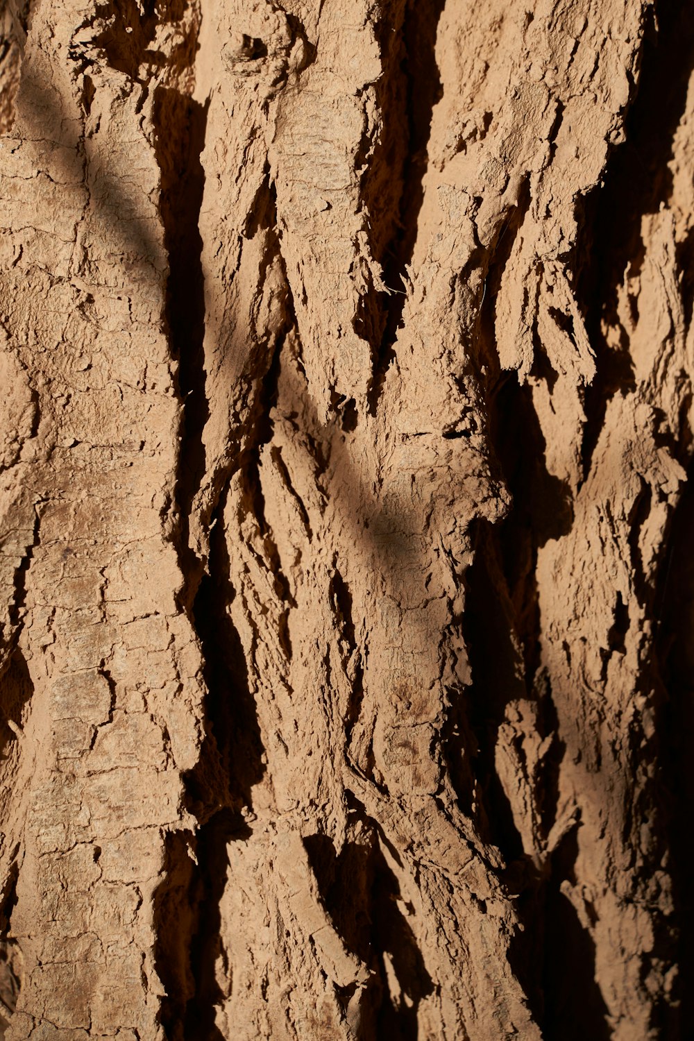 a close up view of a rock face