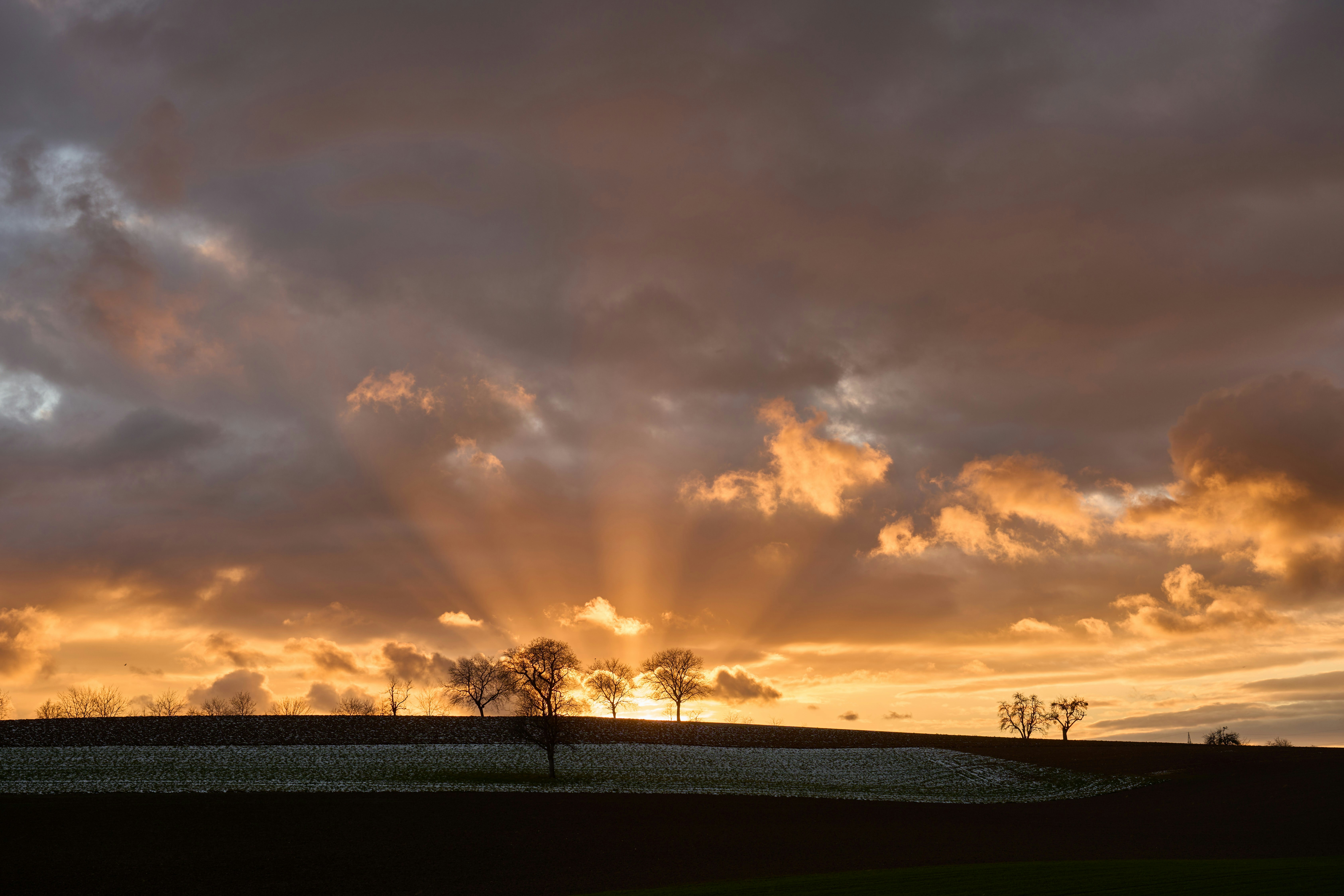 Photo by wolfgang_hasselmann