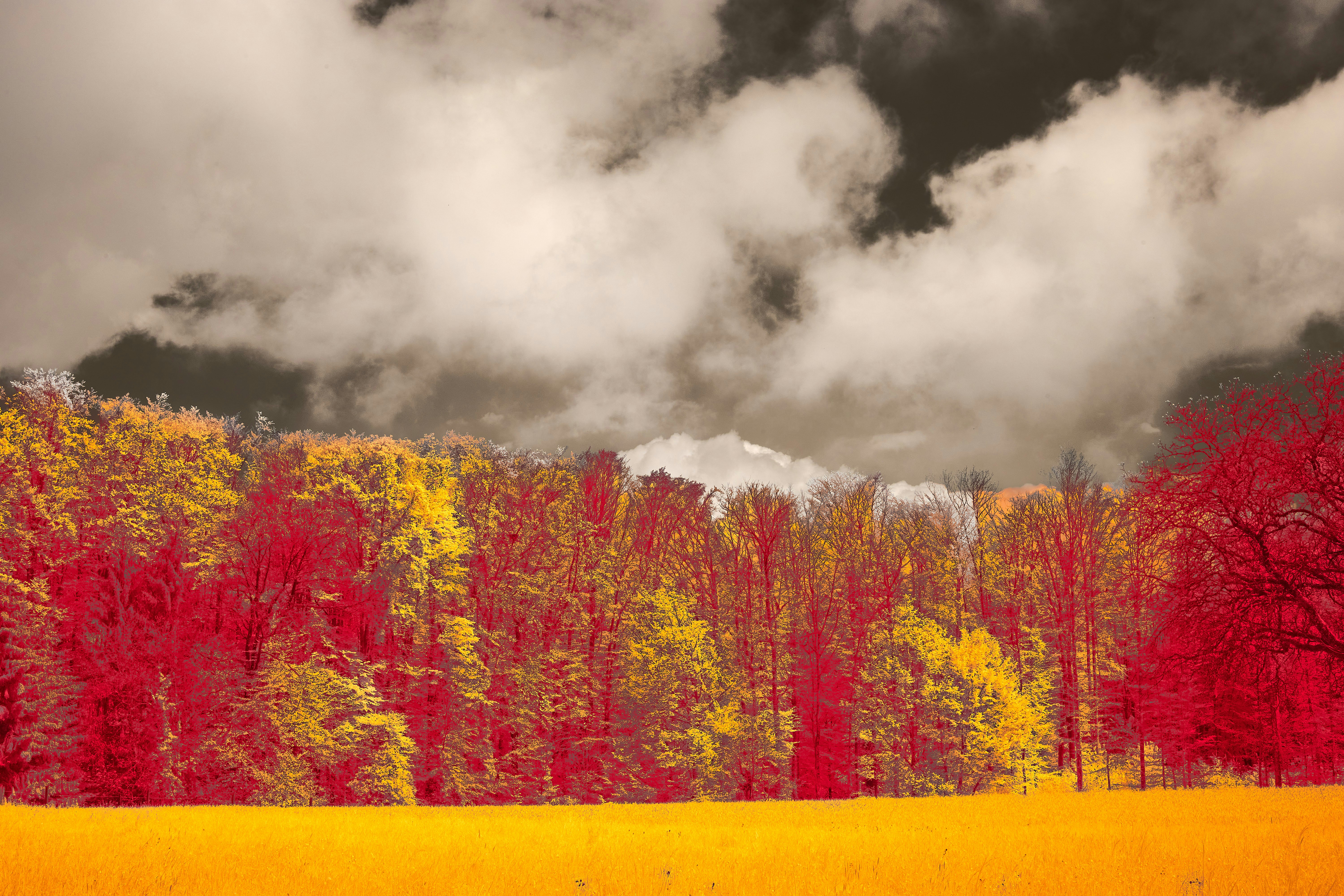 Photo by wolfgang_hasselmann