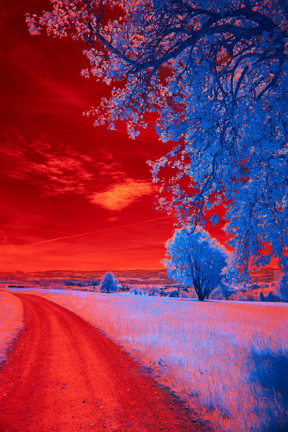 a red and blue photo of a dirt road