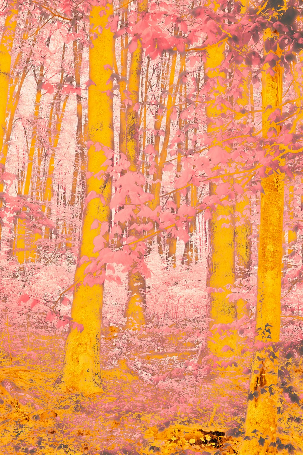 a painting of a forest with pink and yellow trees