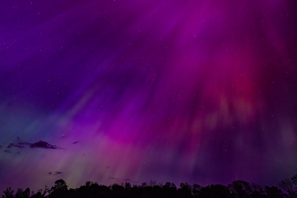 a purple and green aurora bore in the night sky