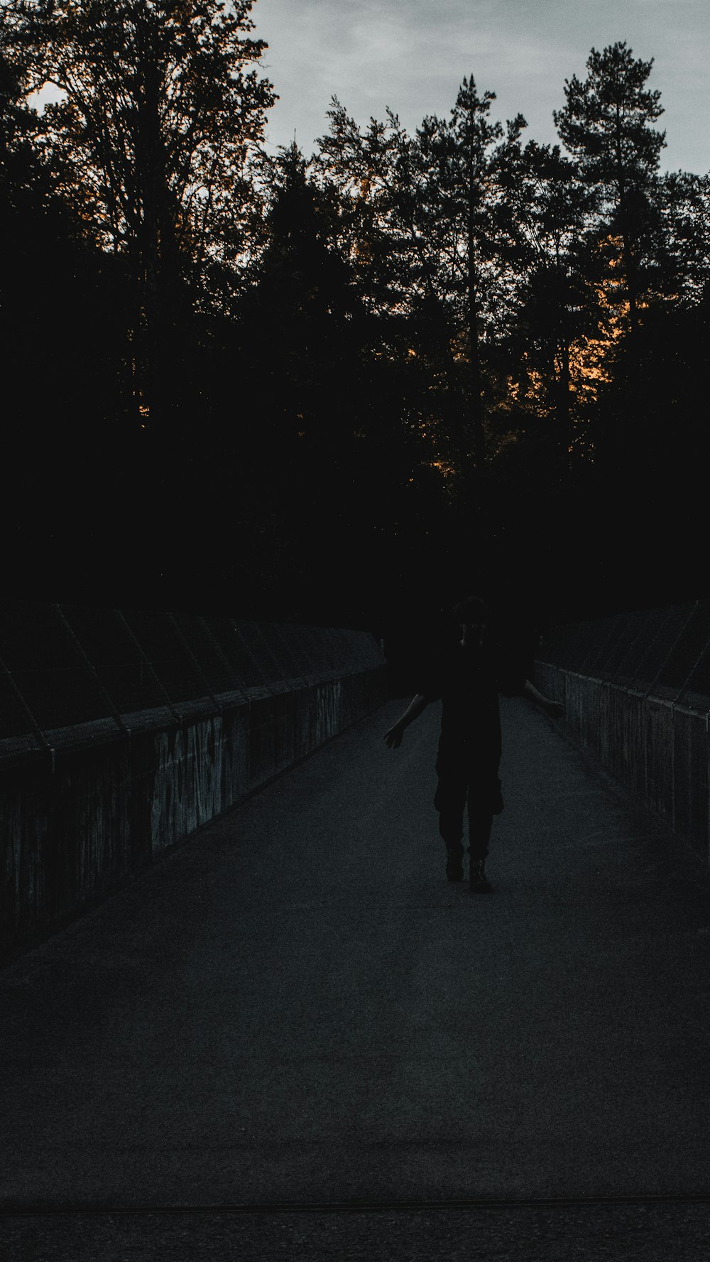 a person walking down a dark path with trees in the background