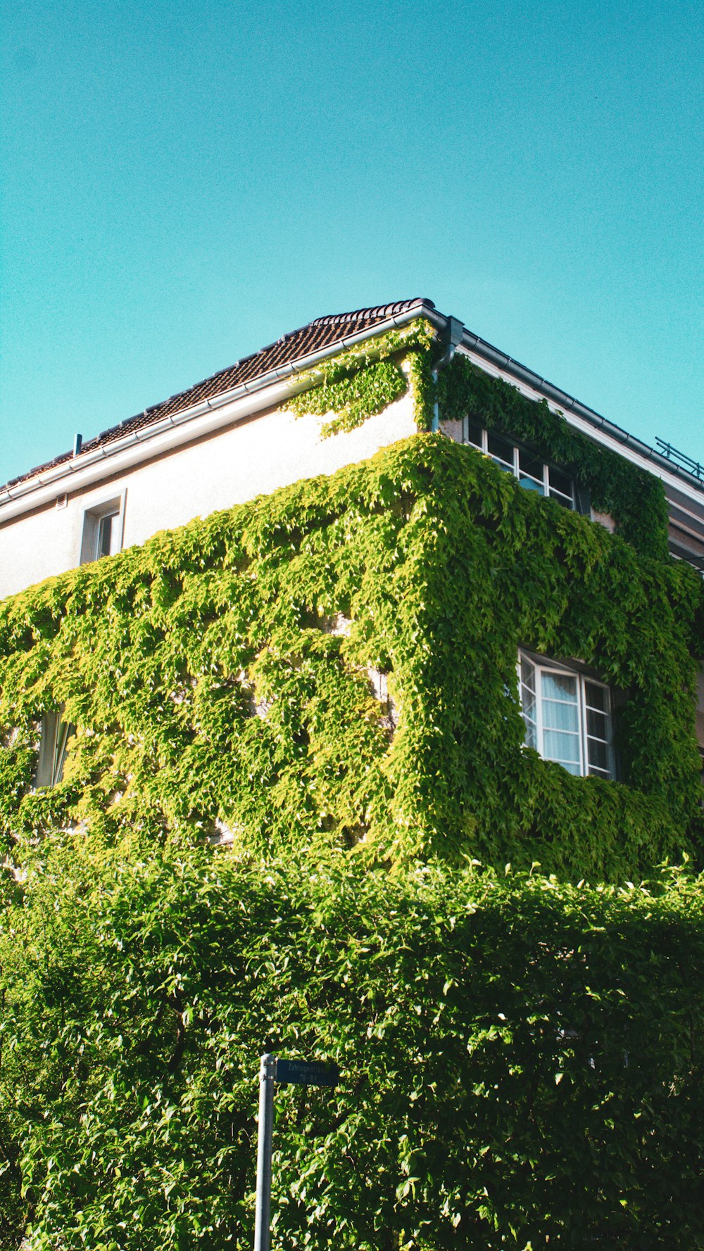 a very tall building covered in lots of green plants