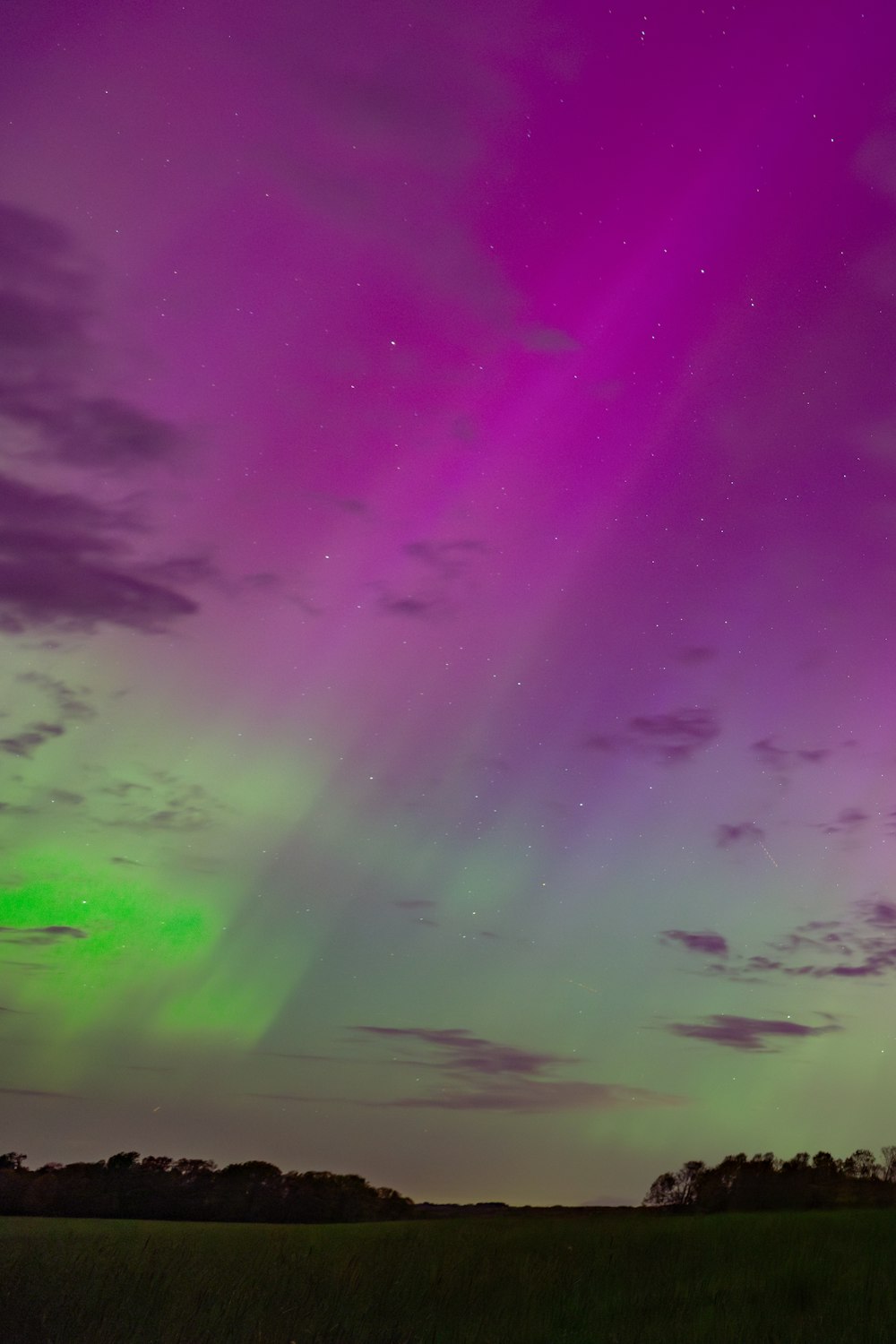 Une aurore violette et verte s’élevait dans le ciel