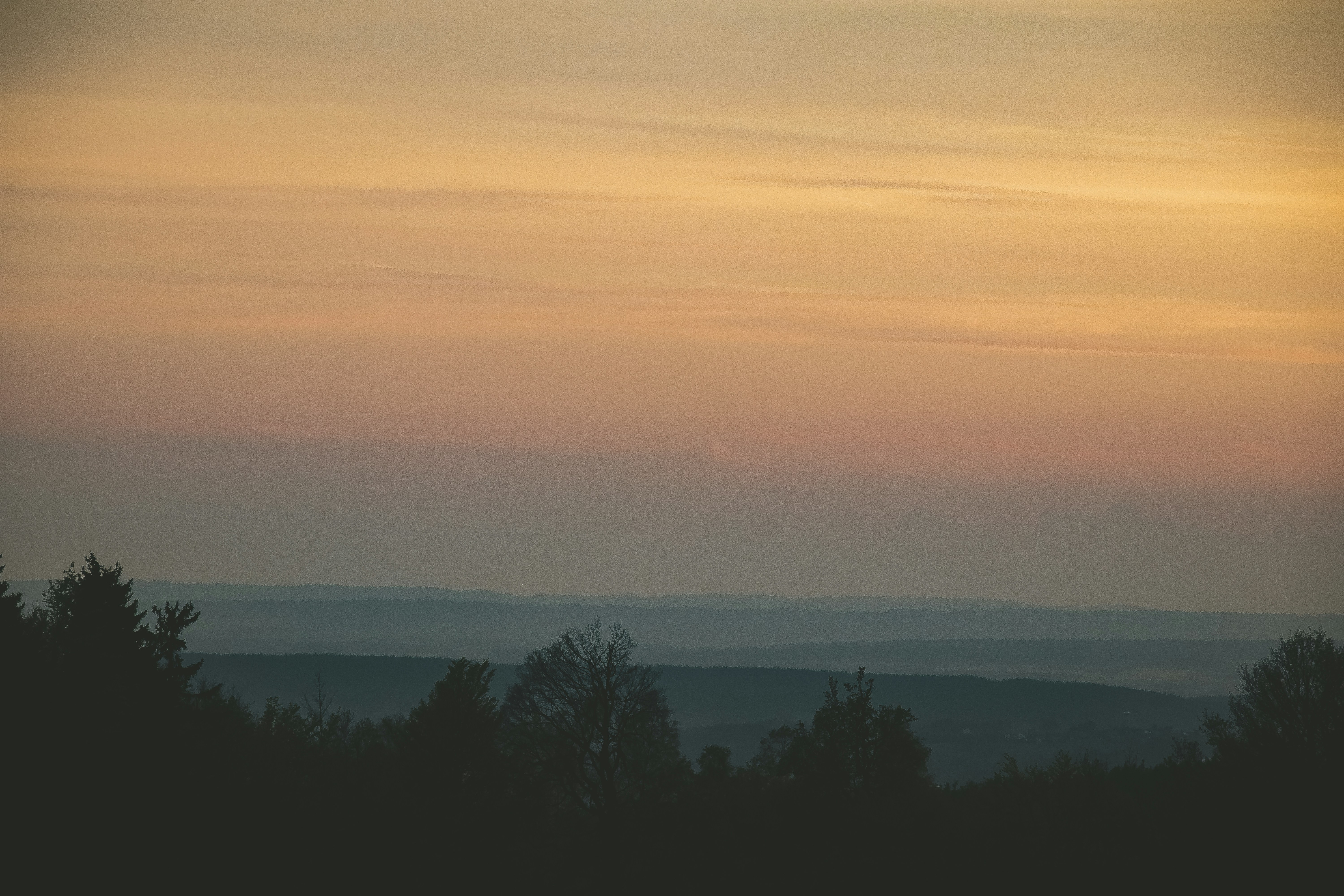 Photo by patrycja_chociej