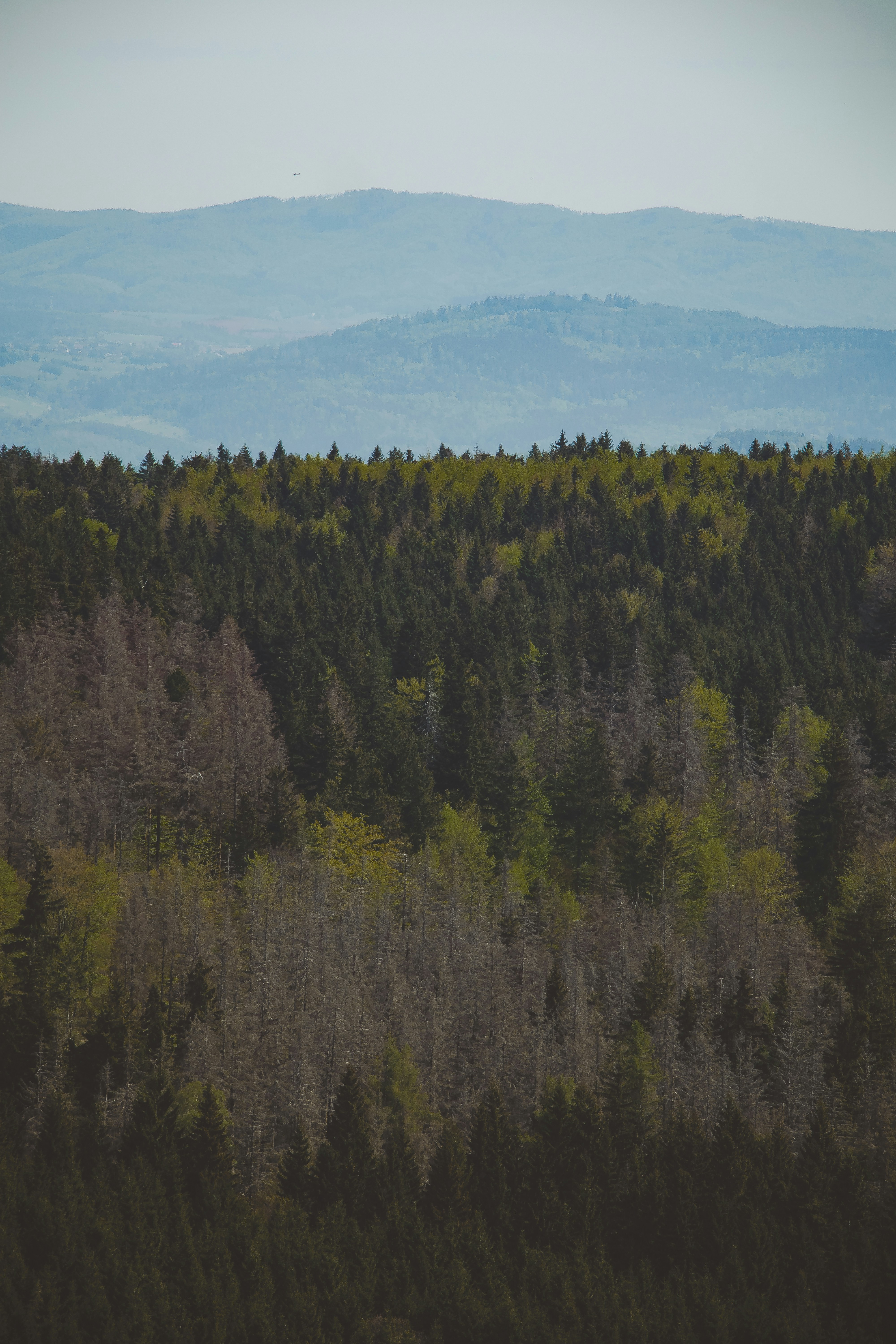 Photo by patrycja_chociej