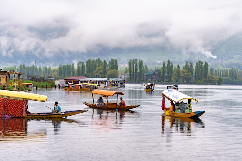 Dal Lake Luxury Houseboat Kashmir