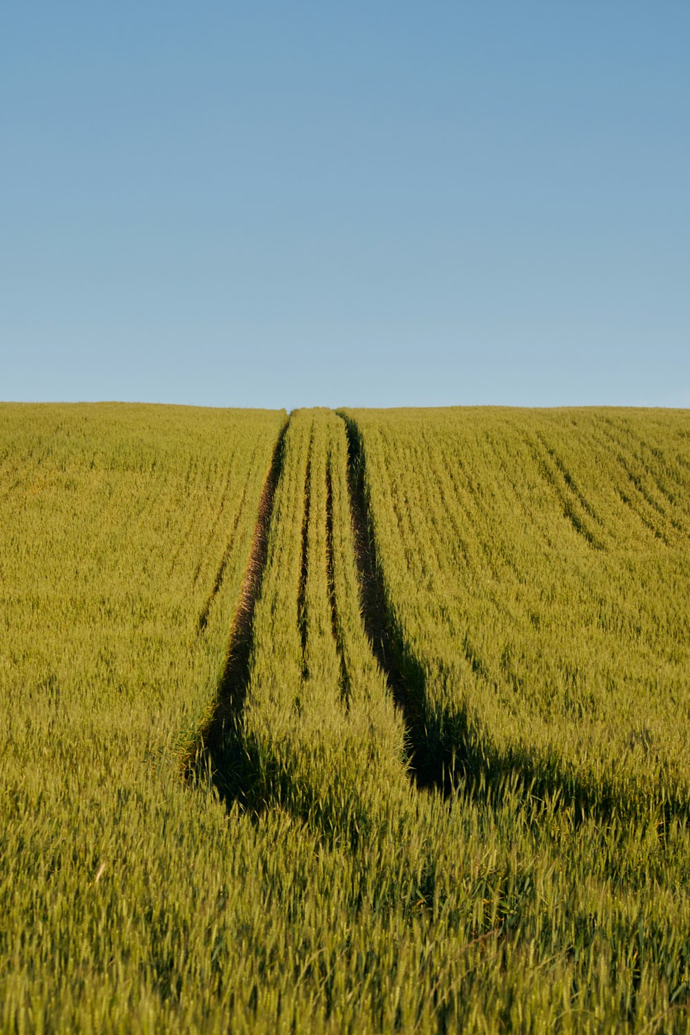 a large field of green grass with two tracks in the middle of it