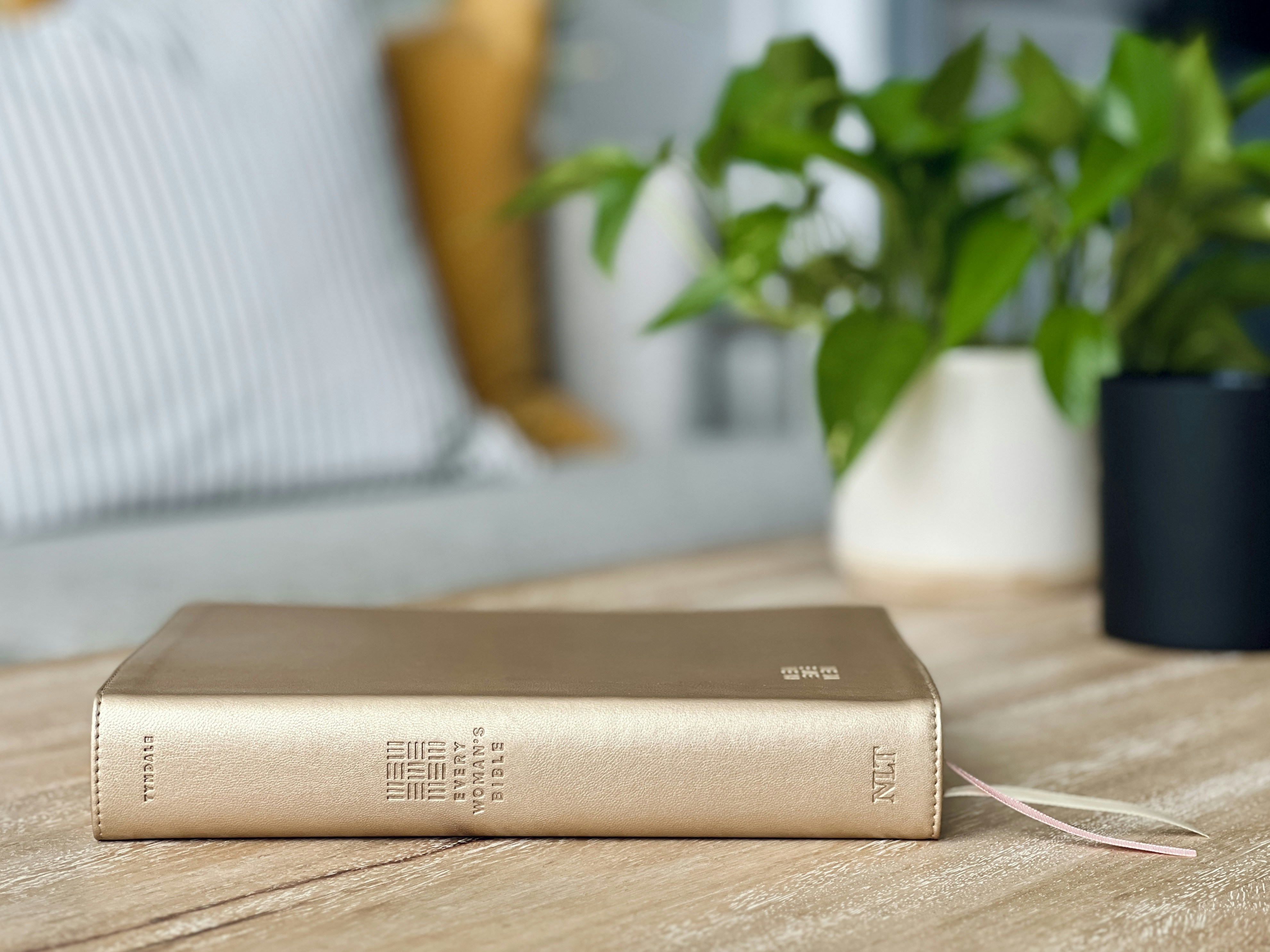 Photo by timwildsmith