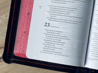 an open book on a wooden table with a pen