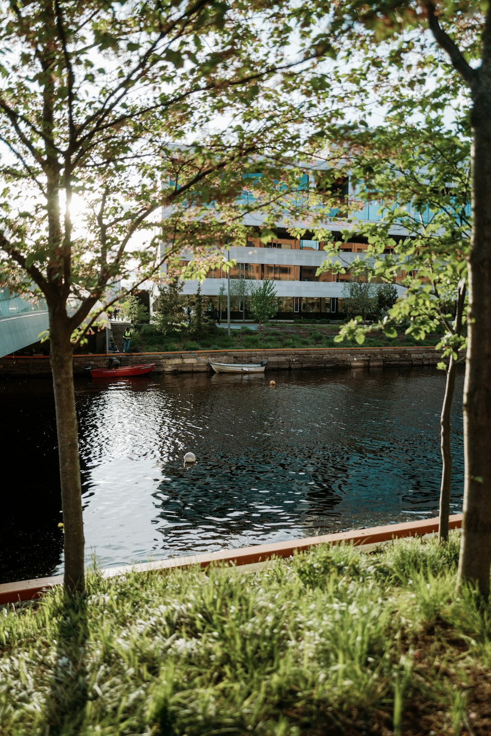 a body of water surrounded by trees and buildings