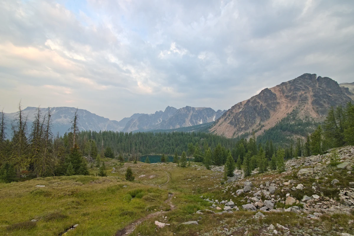 A narrow trail through a subalpine meadow in Cathedral Provincial Park, with rocky peaks behind
