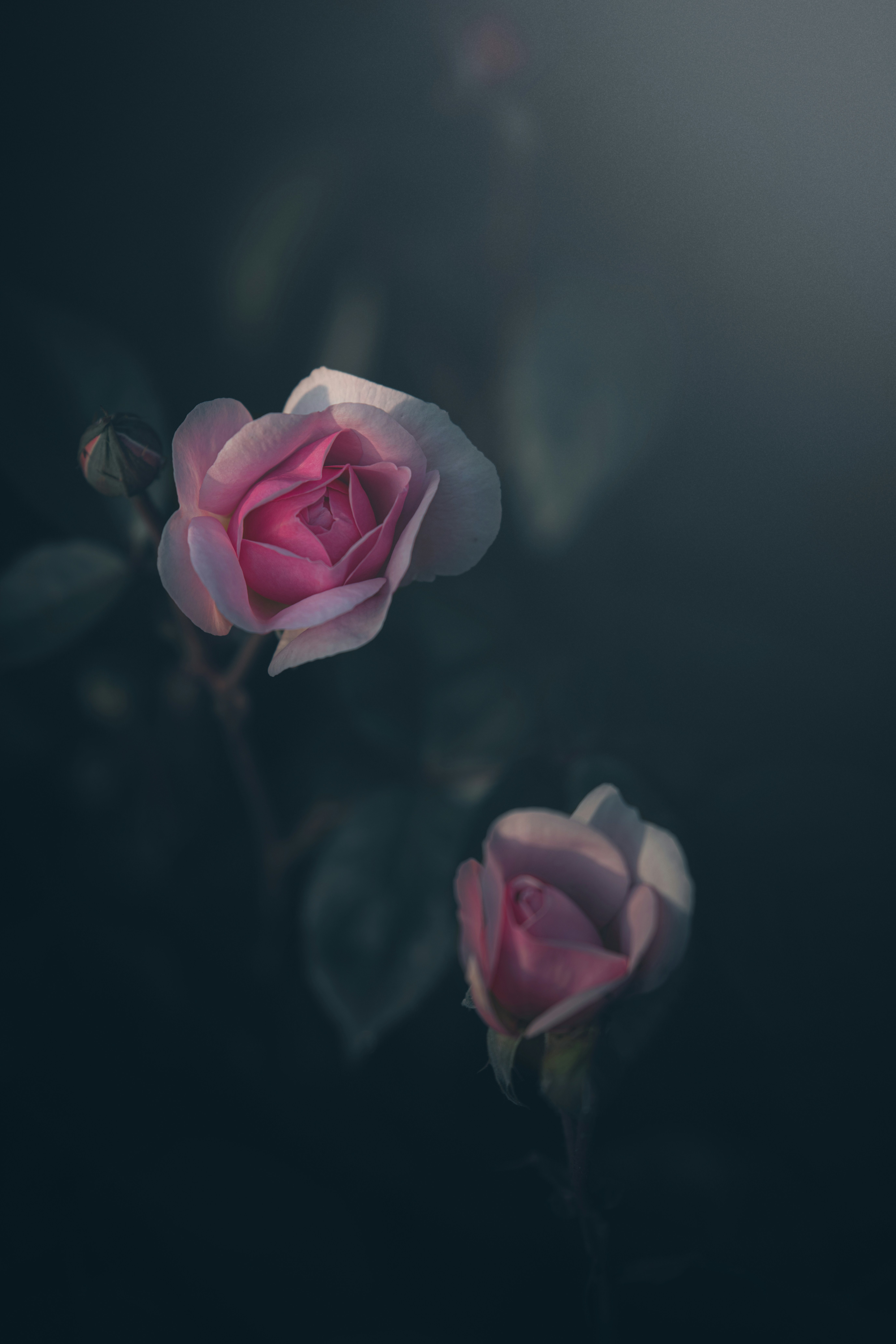 Photo by matt_captures_nature