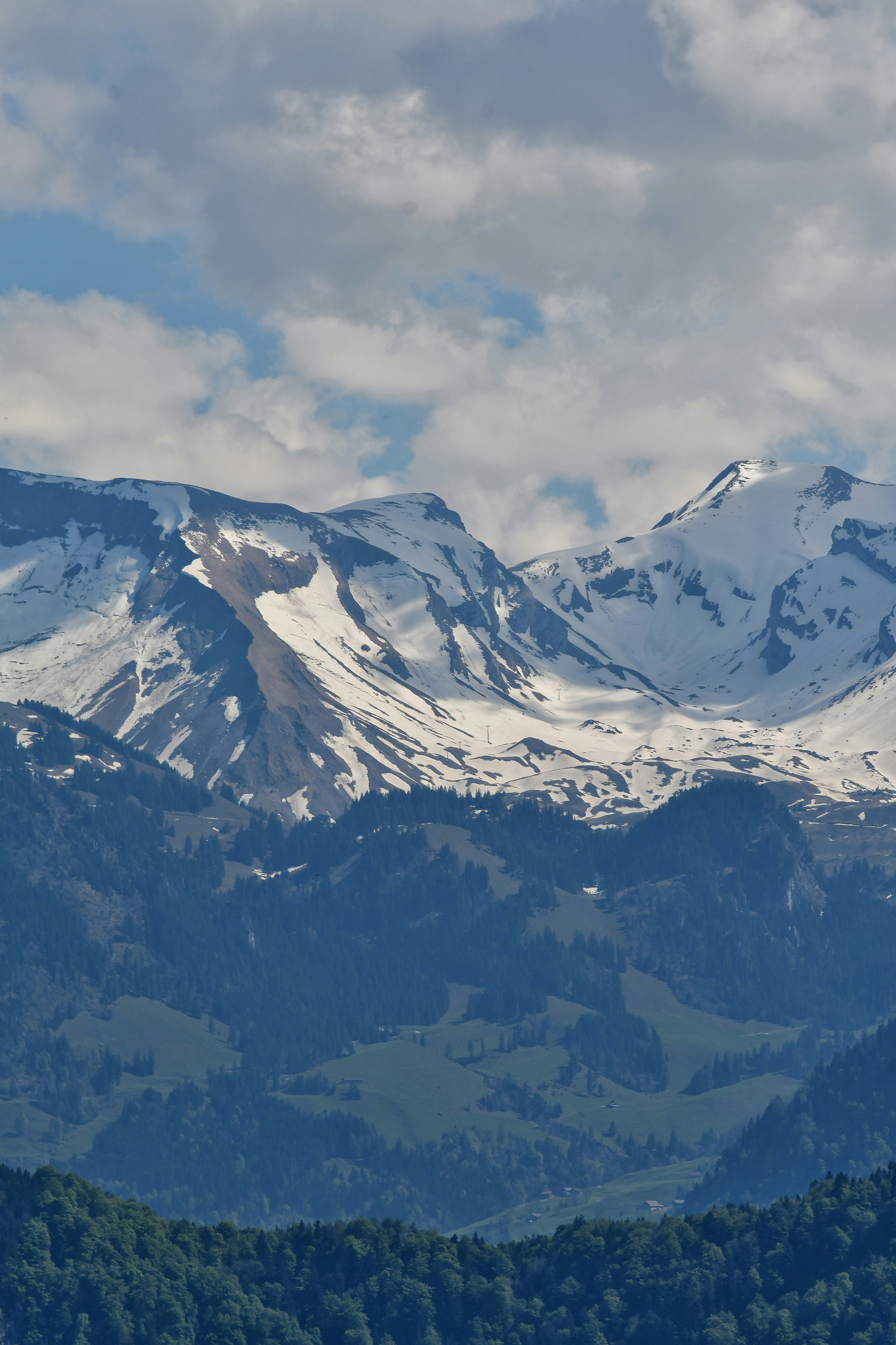 Photo by pedrino5_official