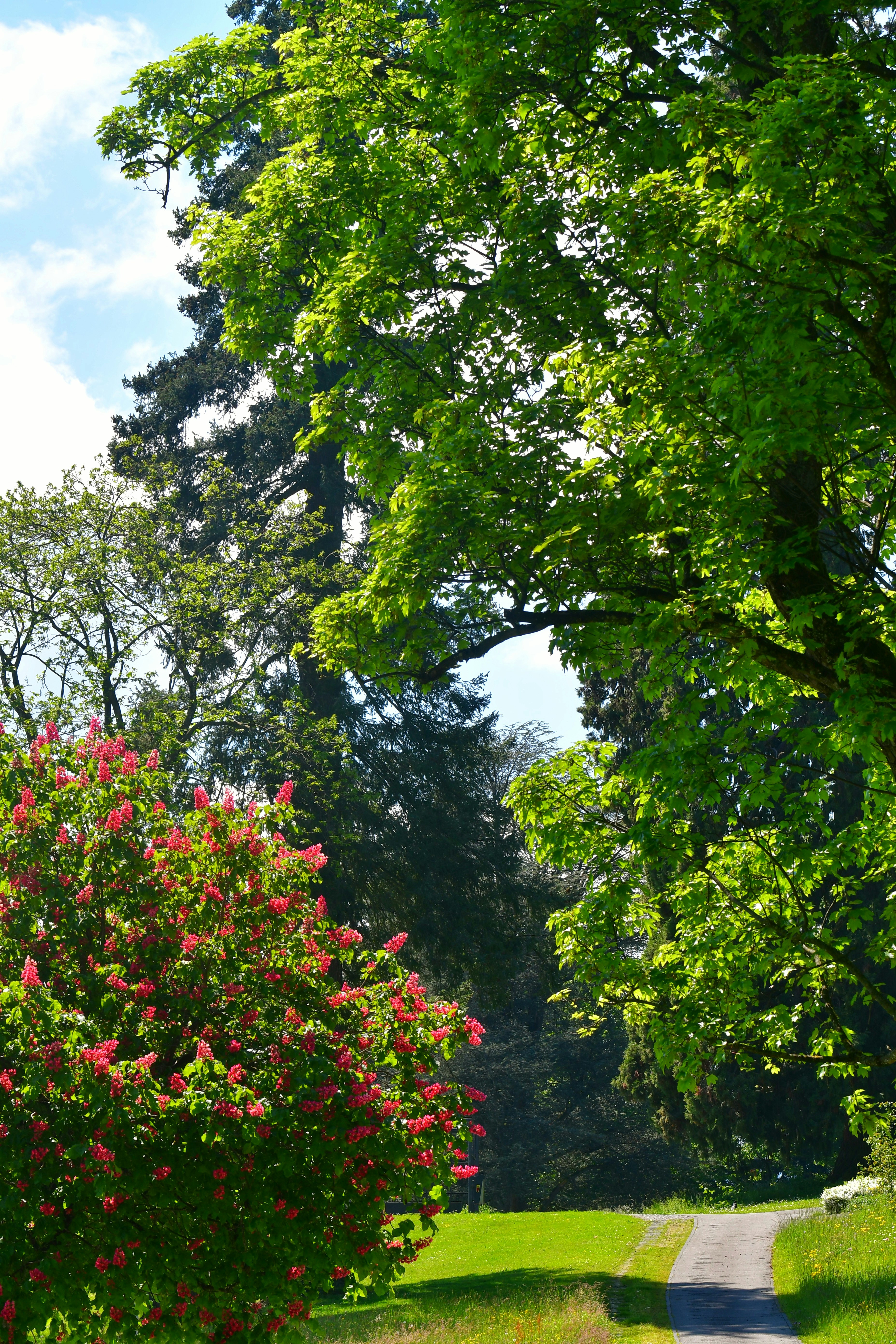 Photo by pedrino5_official