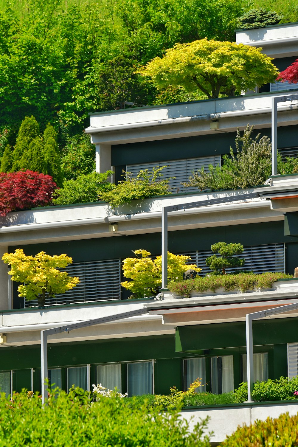 a building with a bunch of plants growing on the side of it