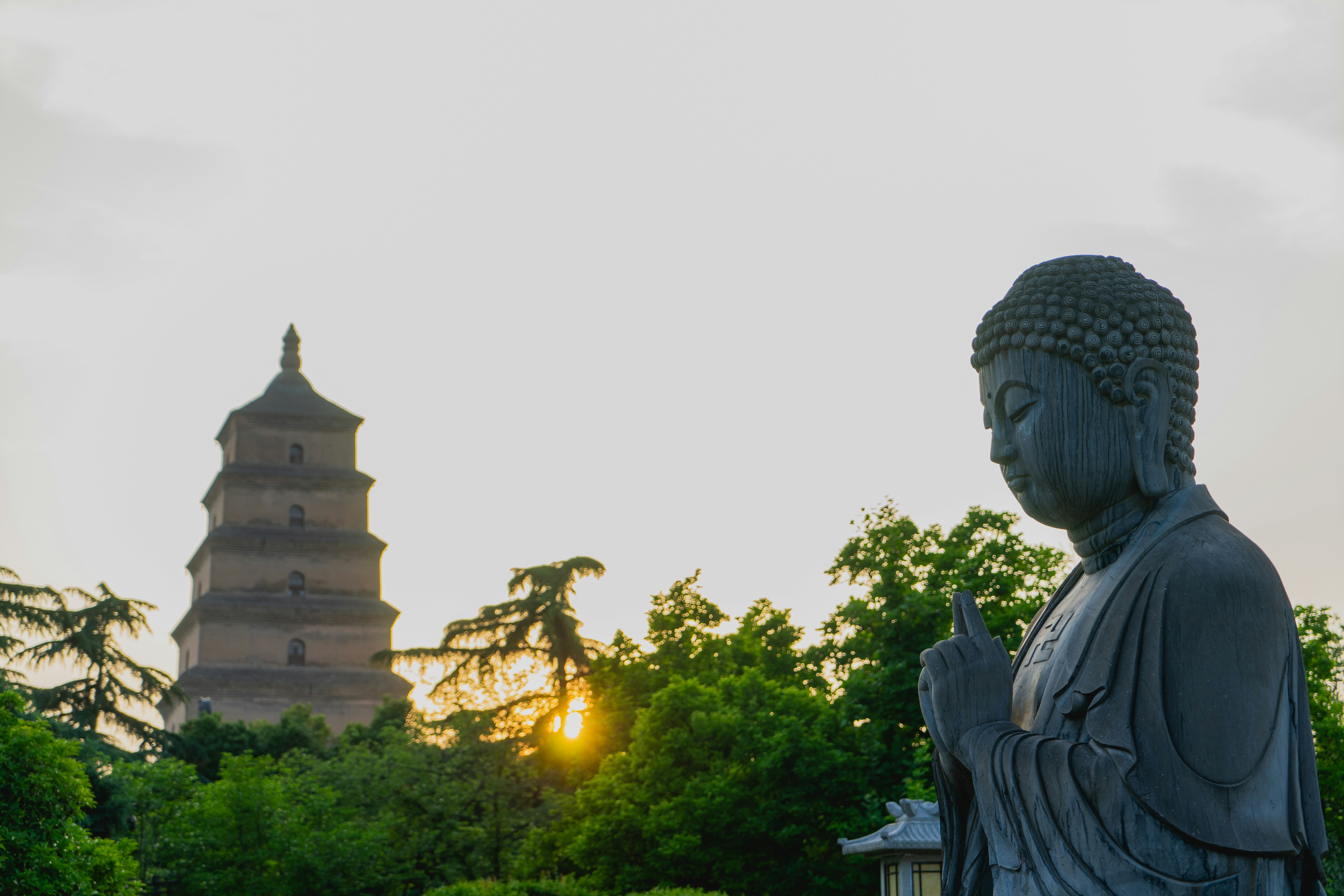 Photo by thebingxia