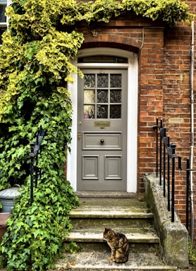 a cat sitting on steps in front of a door