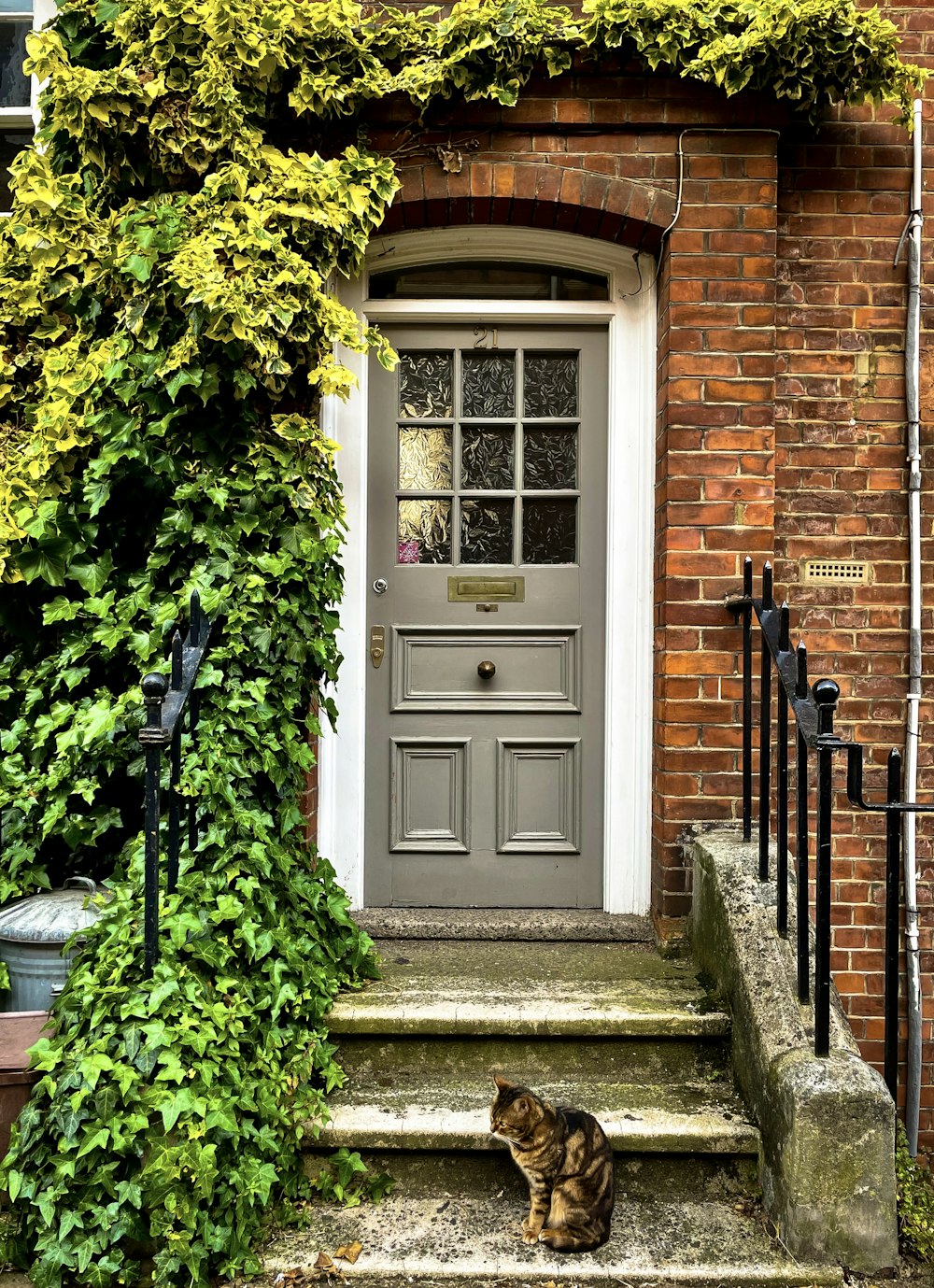 um gato sentado em degraus em frente a uma porta