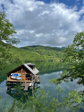 a house on a lake surrounded by trees in Serbia by stafaislive