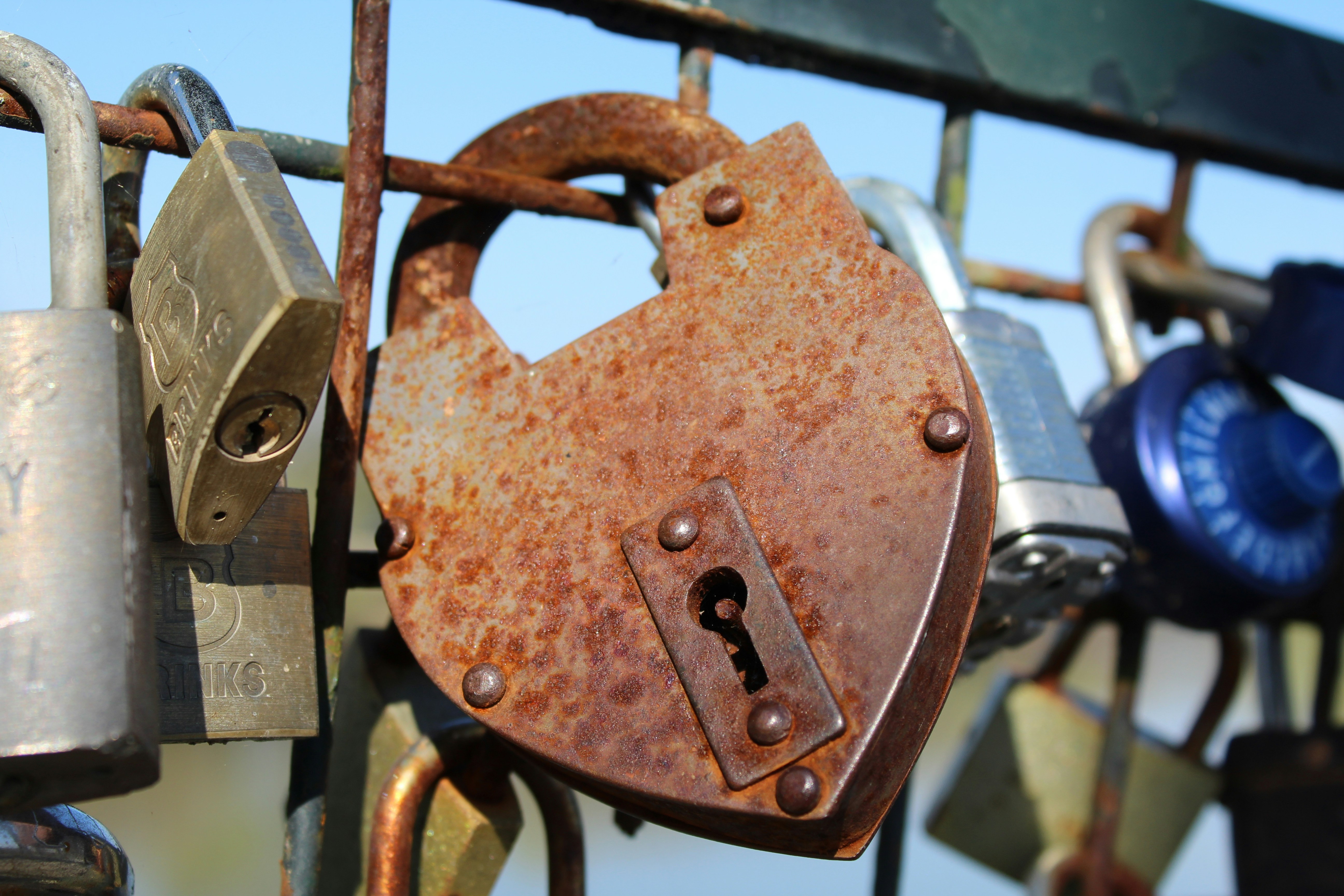 Photo by laura_borman