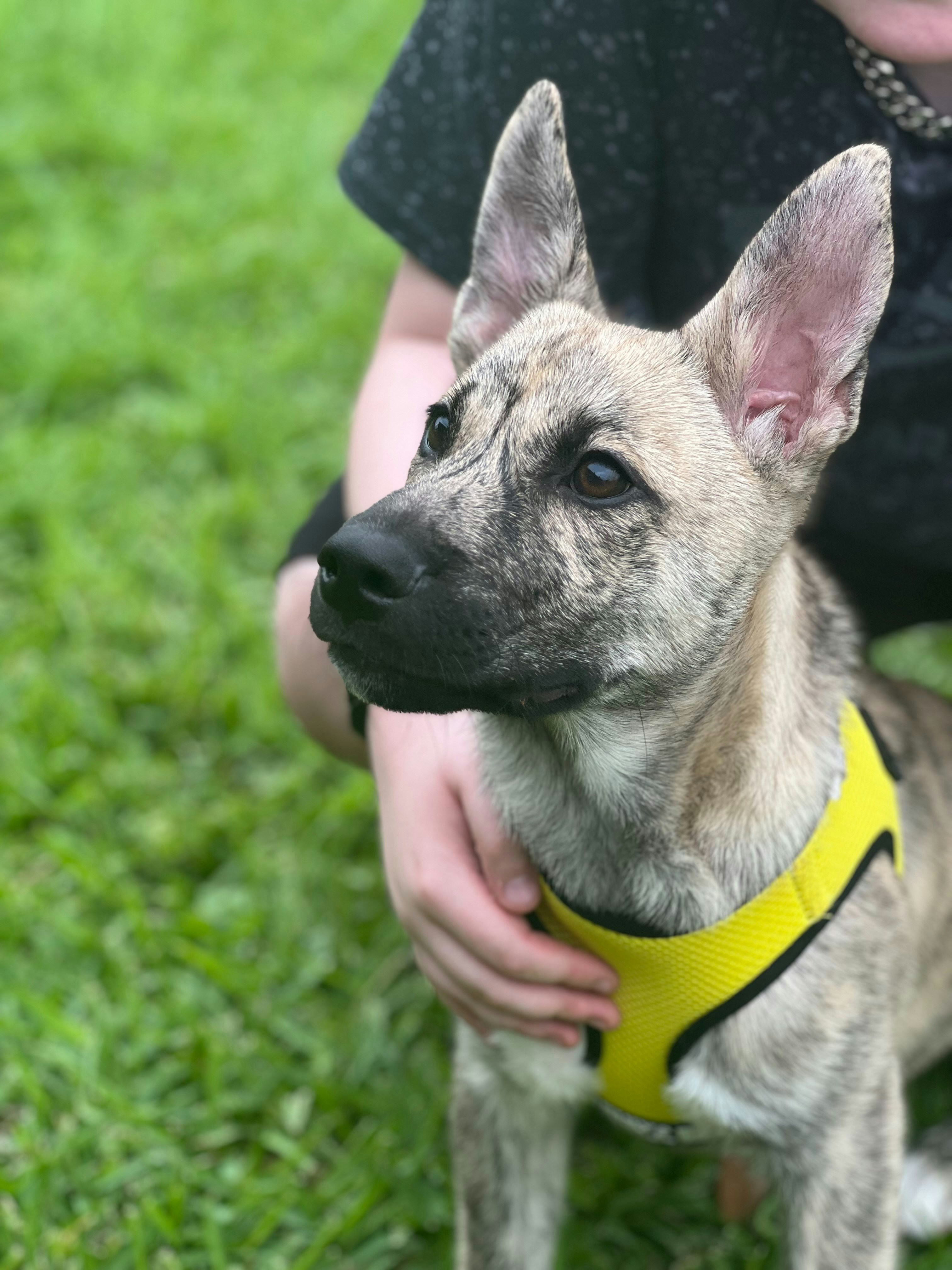 LED Color Science & Perception — 2026 Guide for Designers and Specifiers