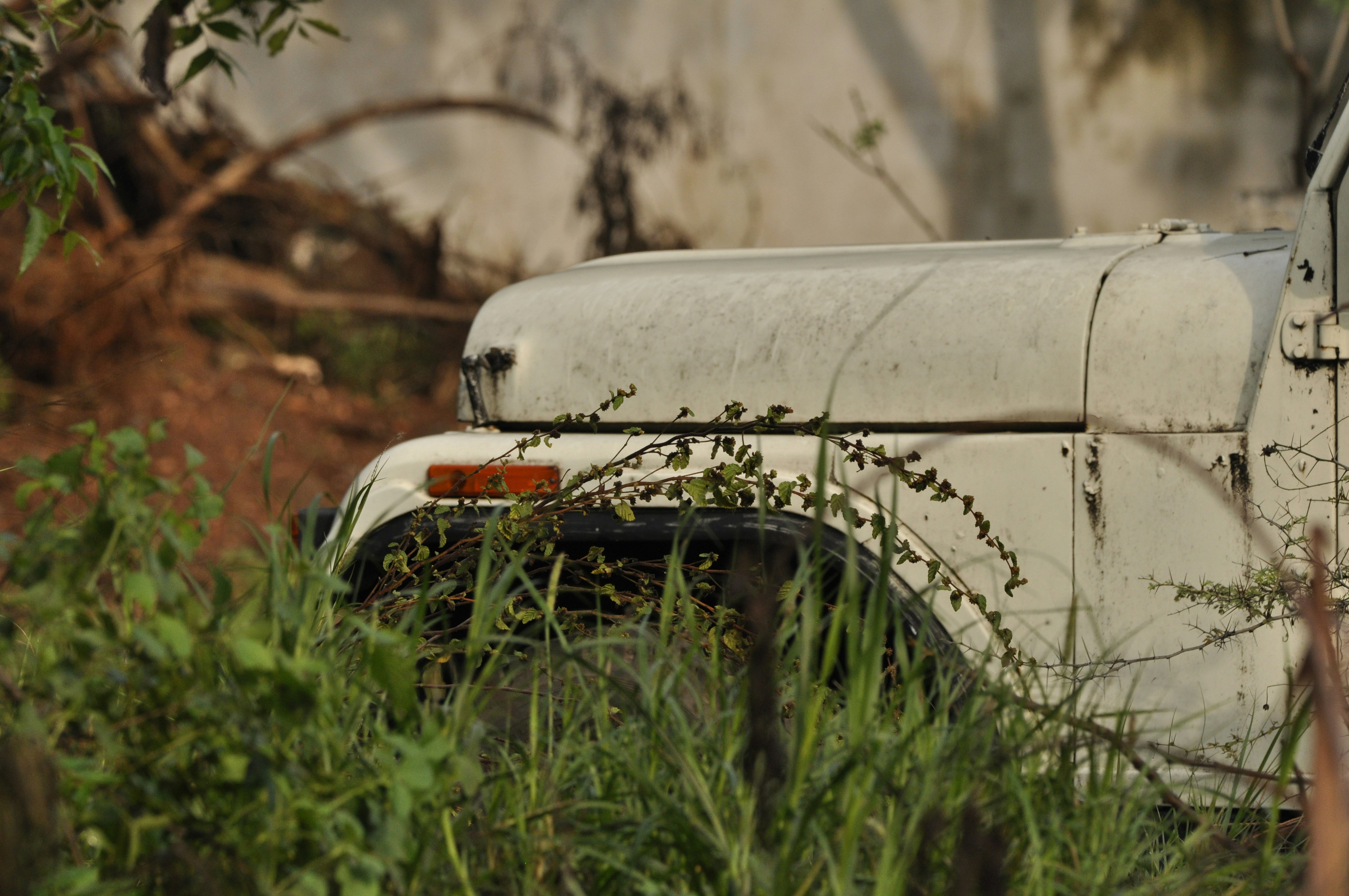 un vieux camion assis dans un champ d’herbes hautes