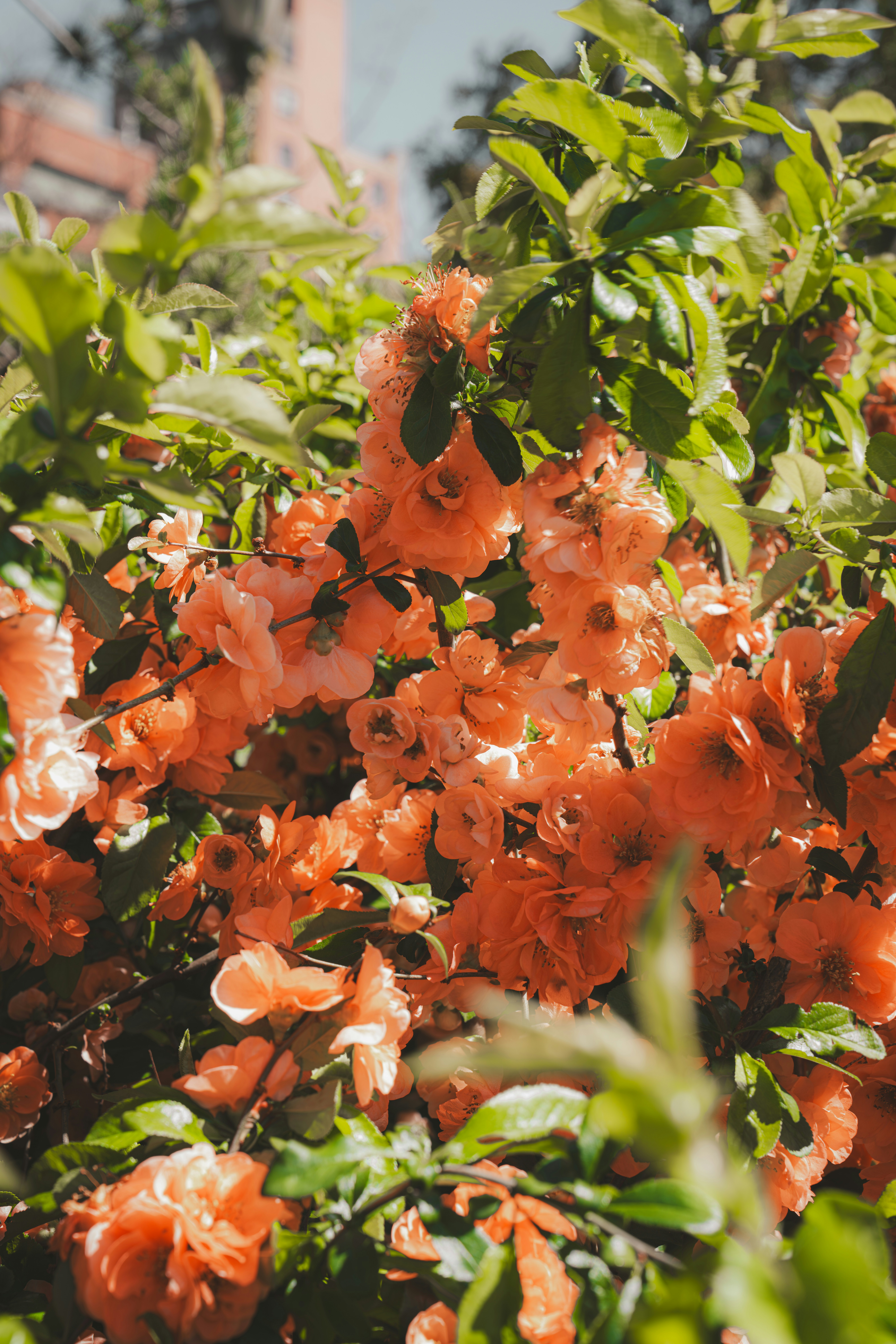 Photo by damiankravchuk