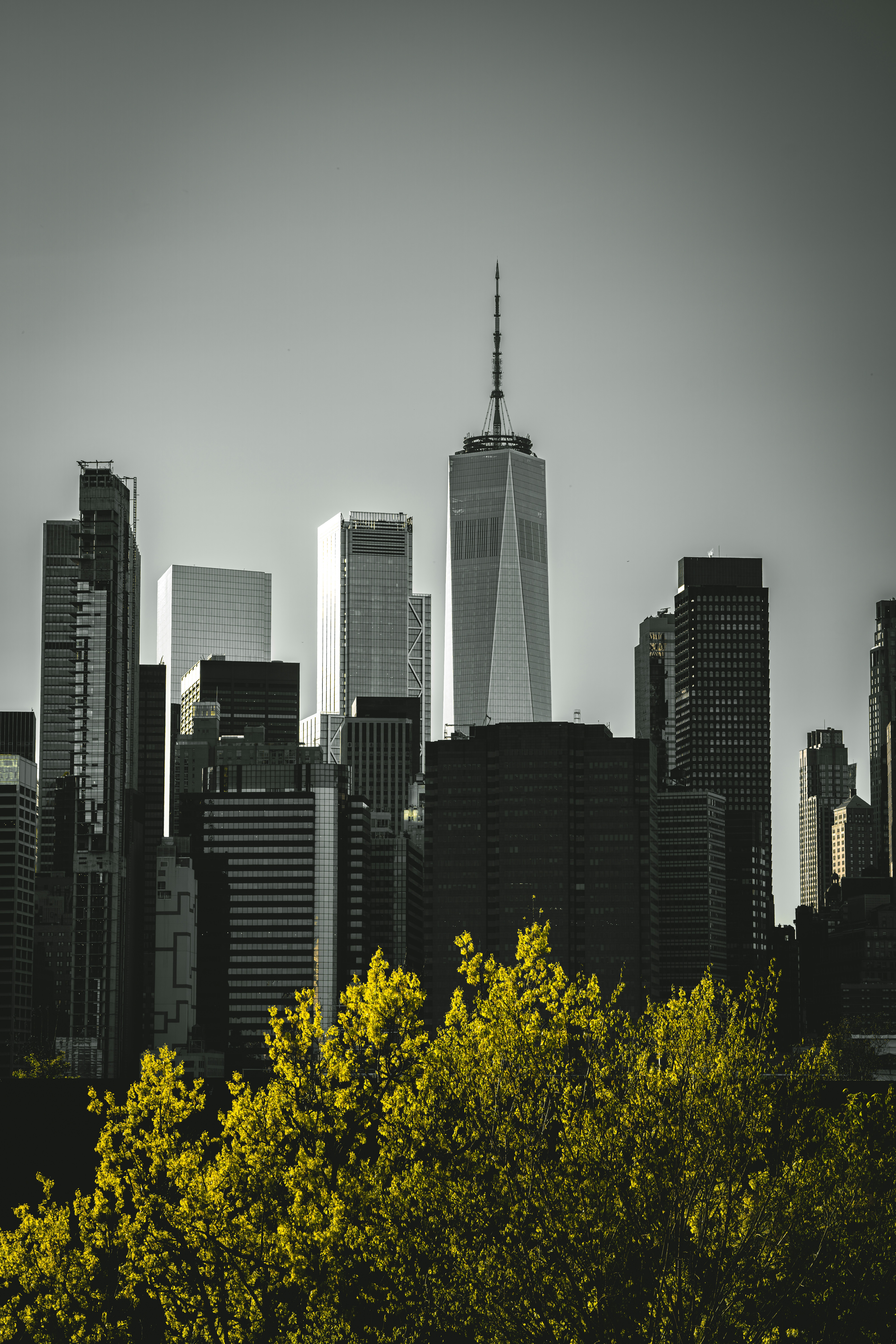 Photo by damiankravchuk