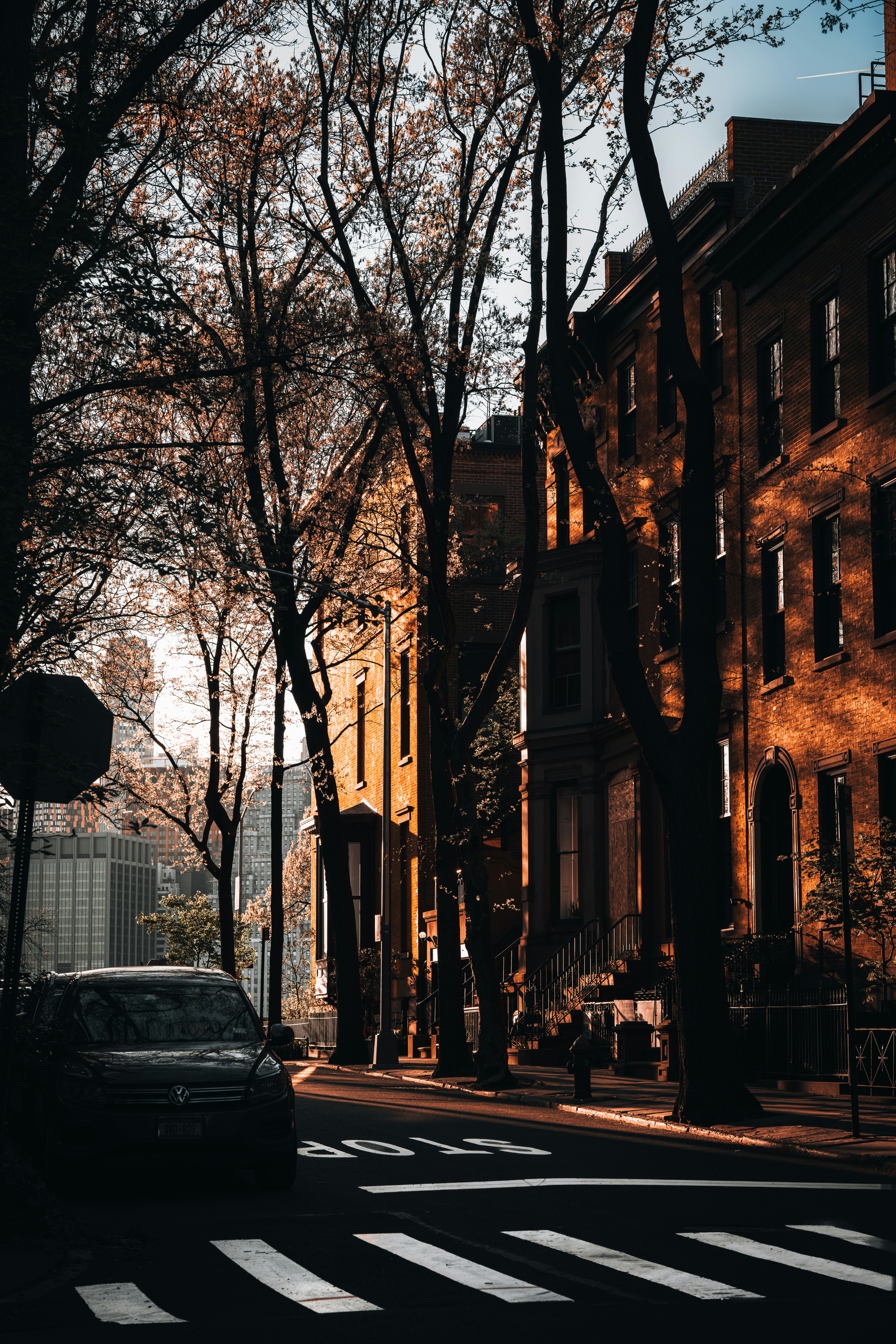 Photo by damiankravchuk