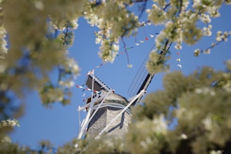 a windmill is seen through the branches of a tree